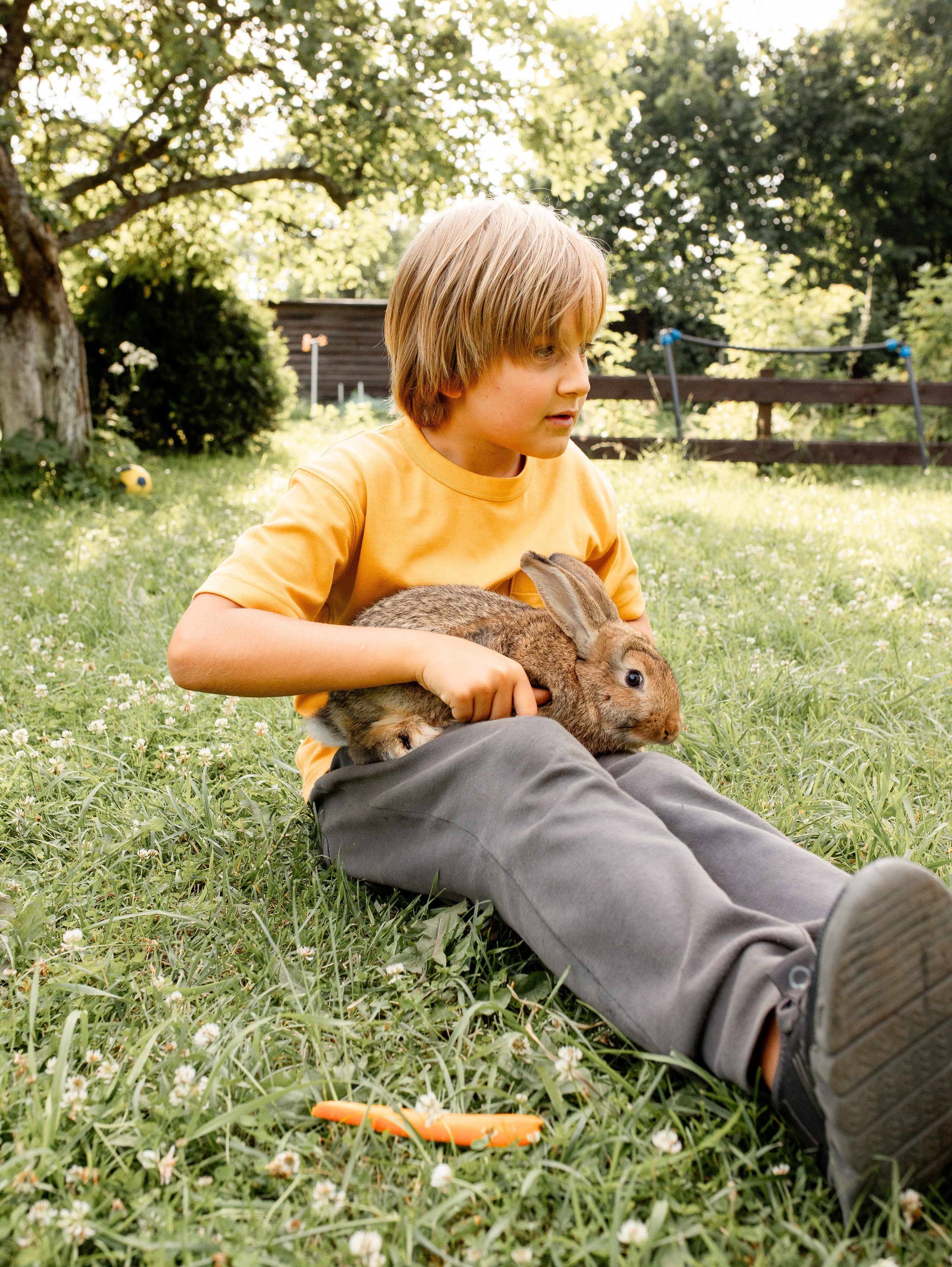 Кролики 2023. Семейный фотограф в Санкт-Петербурге Ирина Иванова