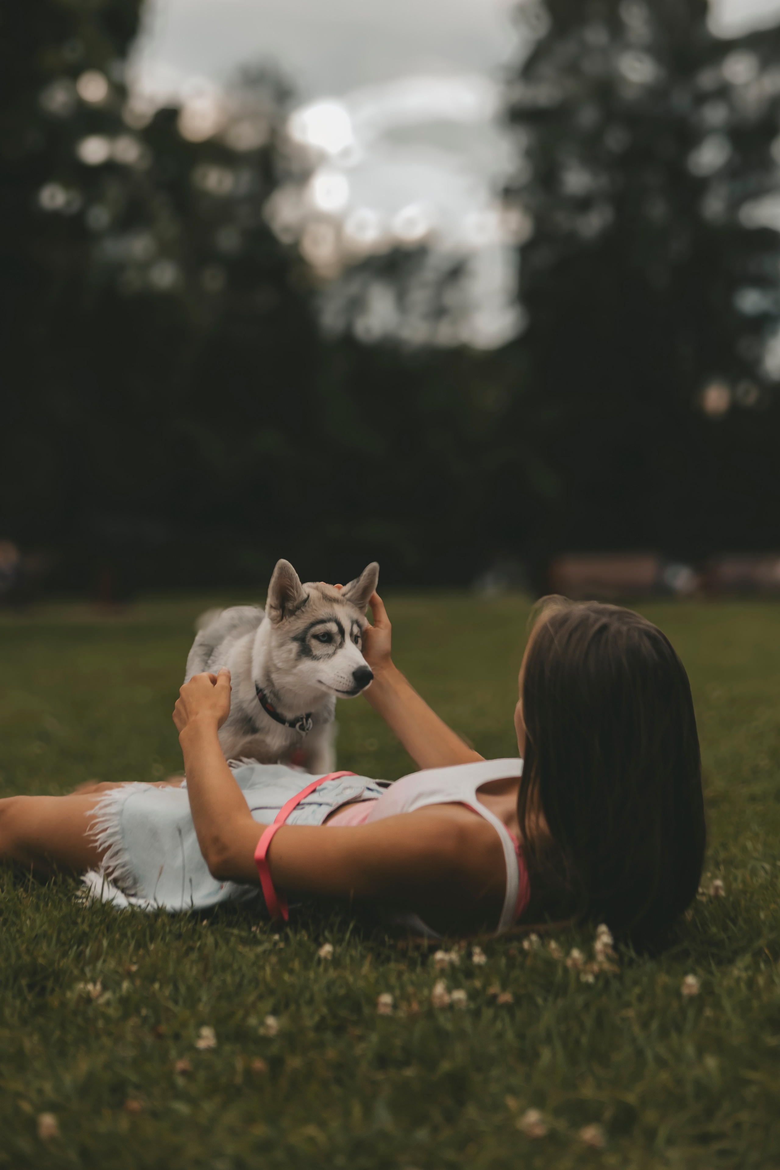 Милана и Белка. Фотограф-анималист в Санкт-Петербурге Алина Яхонт