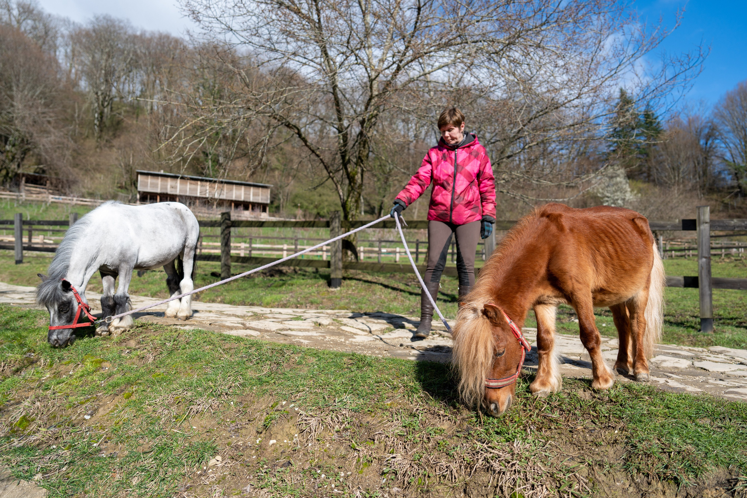 MICE мероприятие на ферме Экзархо. Репортажный фотограф в Красной Поляне и Сочи Павлюченко Екатерина
