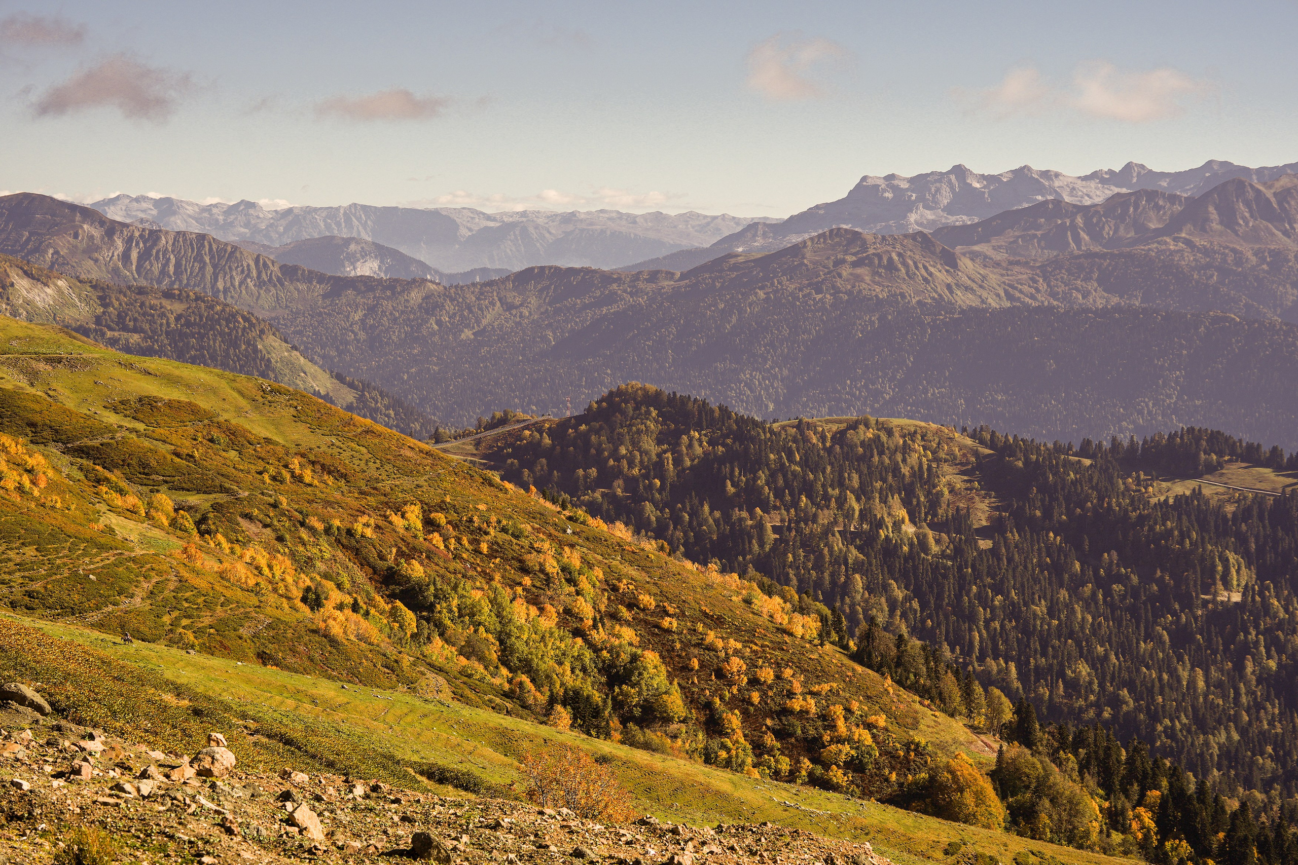 Ыаывы. Репортажный фотограф в Красной Поляне и Сочи Павлюченко Екатерина