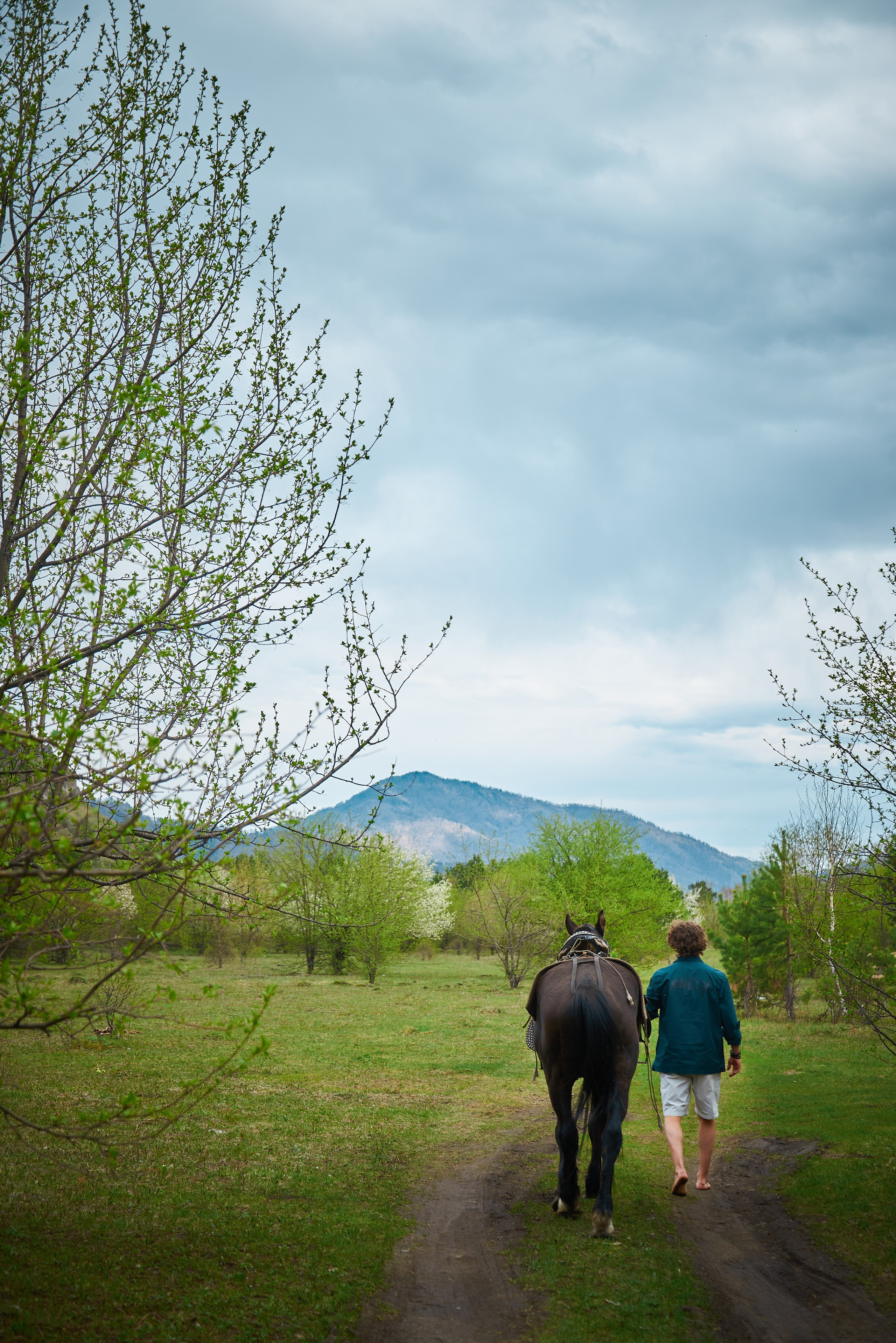 Кирилл. Семейный фотограф в Барнауле, Горный Алтай, Заринск, Алейск