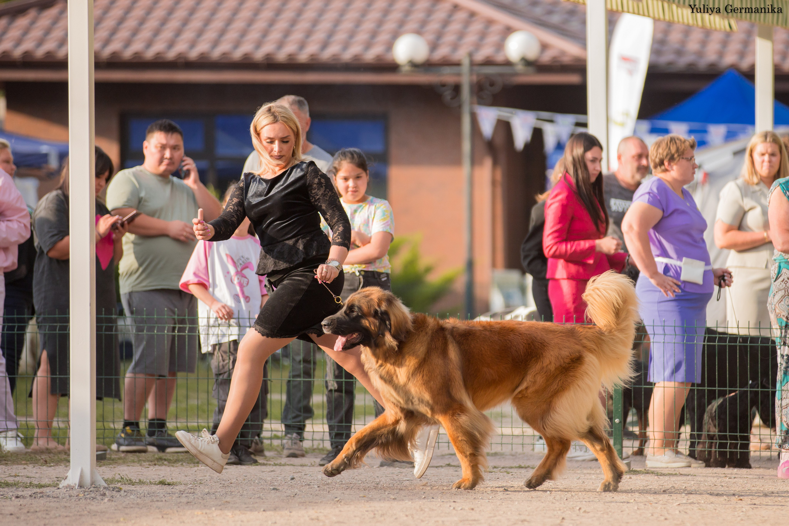 Бишкек 29.09-01.10.2023. Фотограф-анималист Юлия Германика