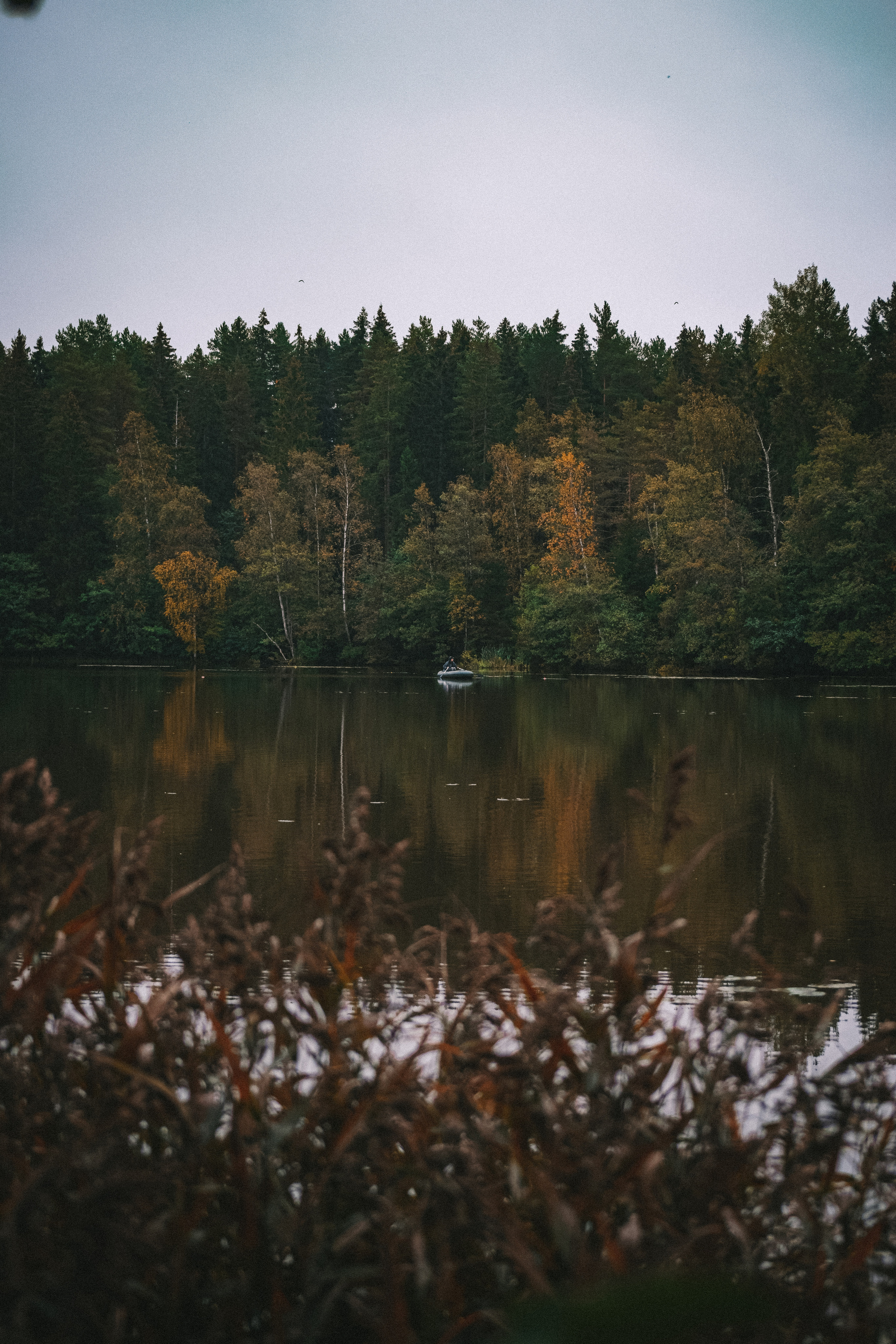 История в Васкелово. Фотограф в Санкт-Петербурге
