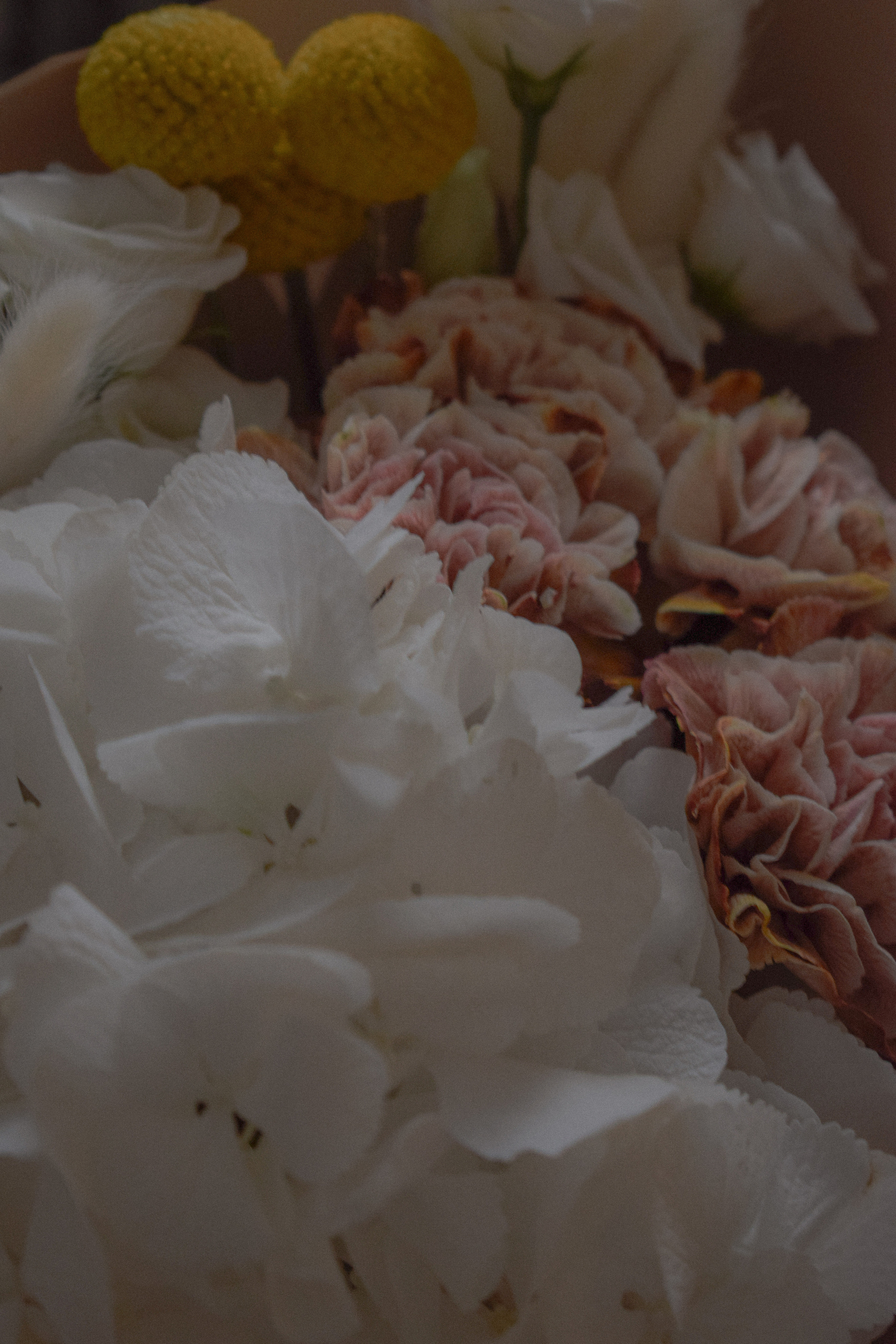 Jenik. Voice Flow. Отчетный концерт. Фотограф в Санкт-Петербурге