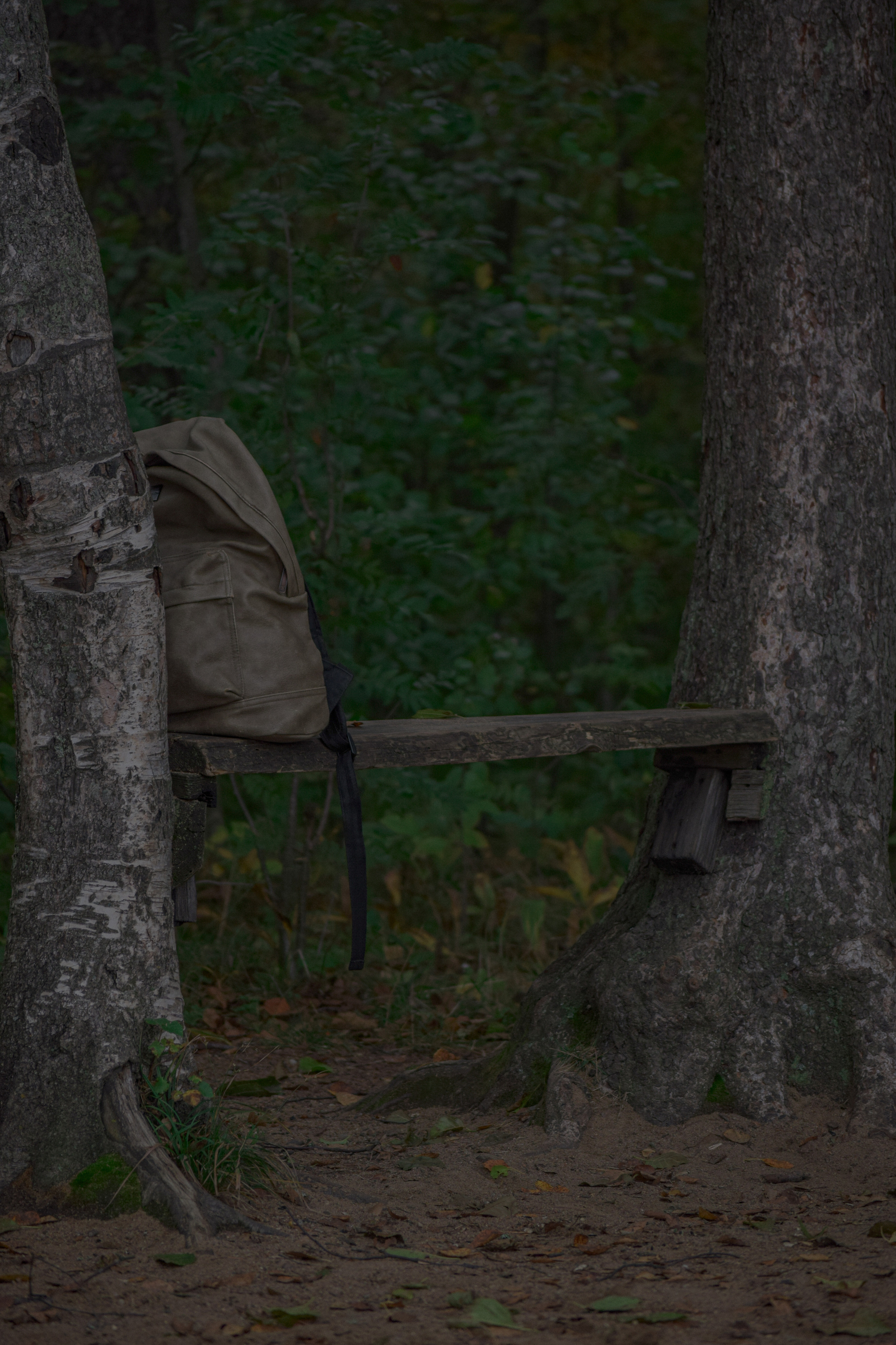 История в Васкелово. Фотограф в Санкт-Петербурге
