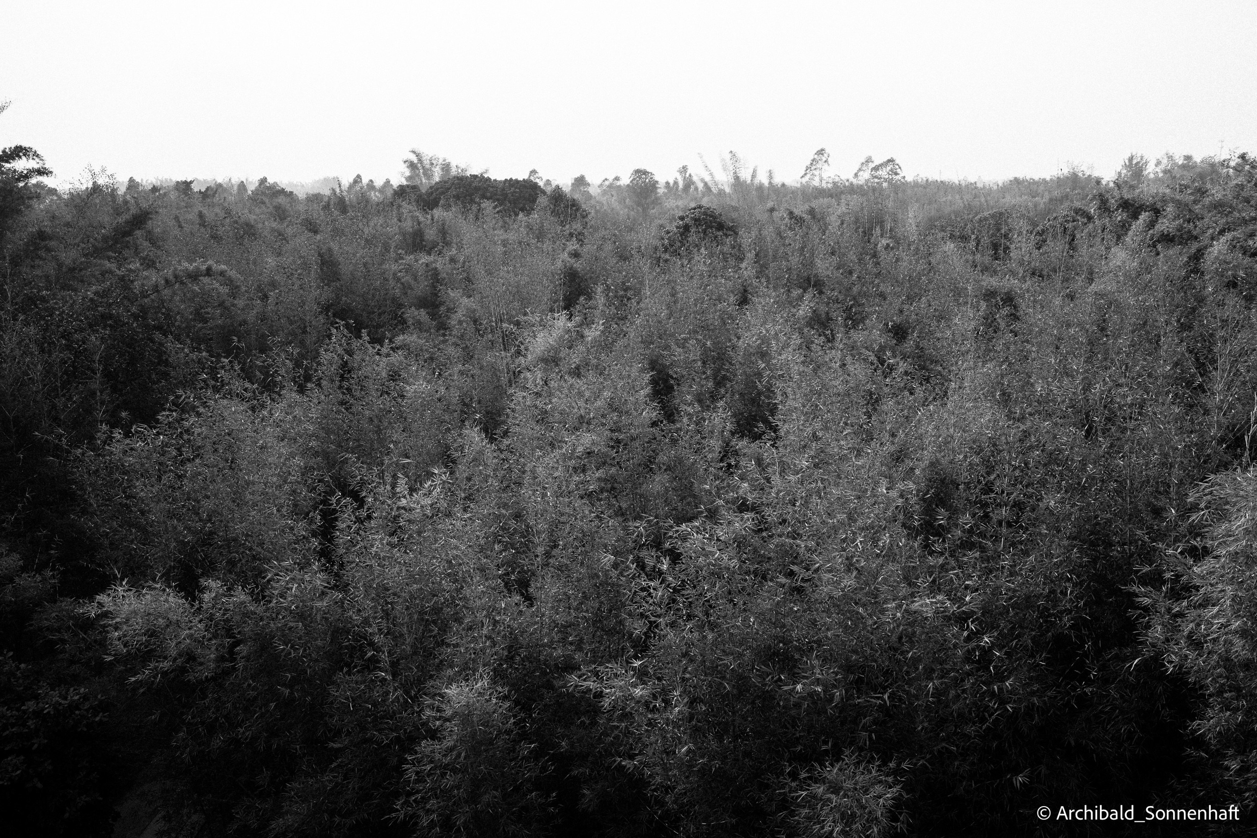 Diaolou in Kaiping. Photographer in Guangzhou, China. Archibald Sonnenhaft