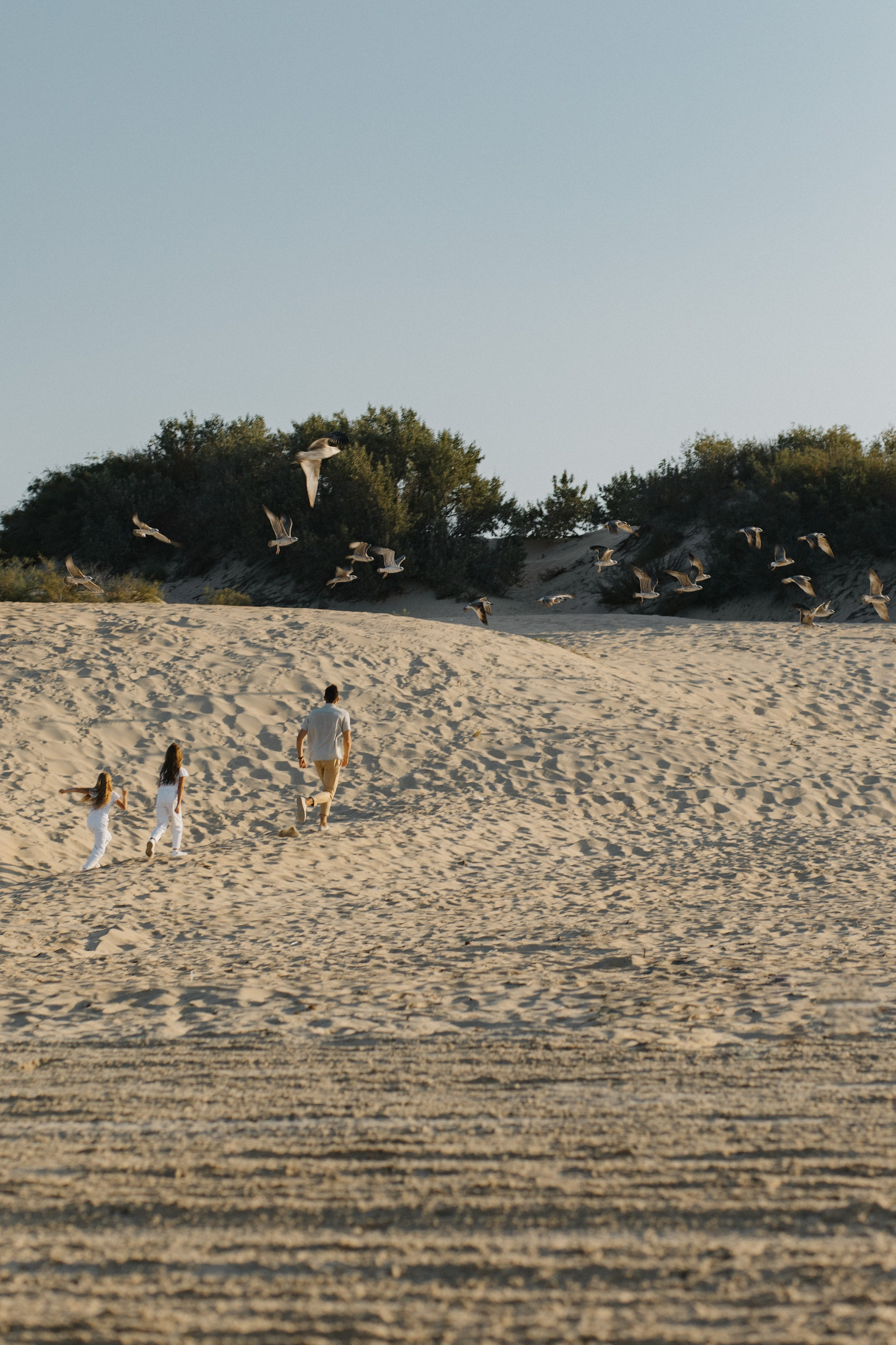 Рекламная съемка Дюны золотые. Профессиональный фотограф Иван Низиенко