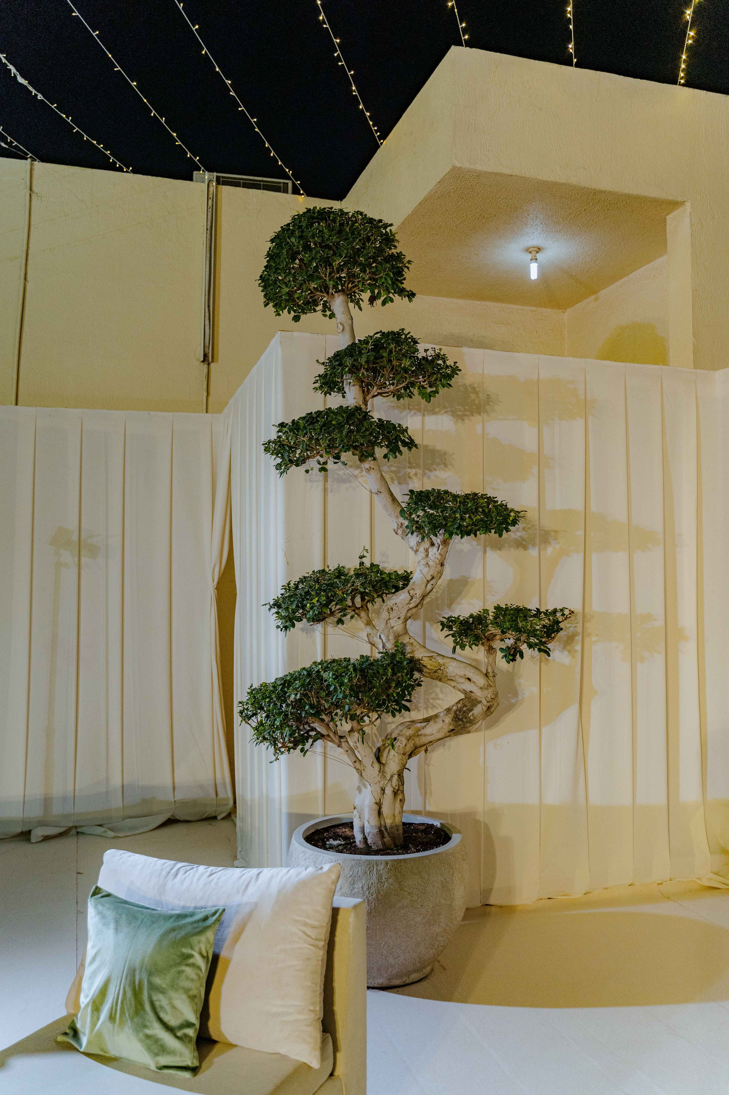 Wedding photographer in abu dhabi pre wedding party