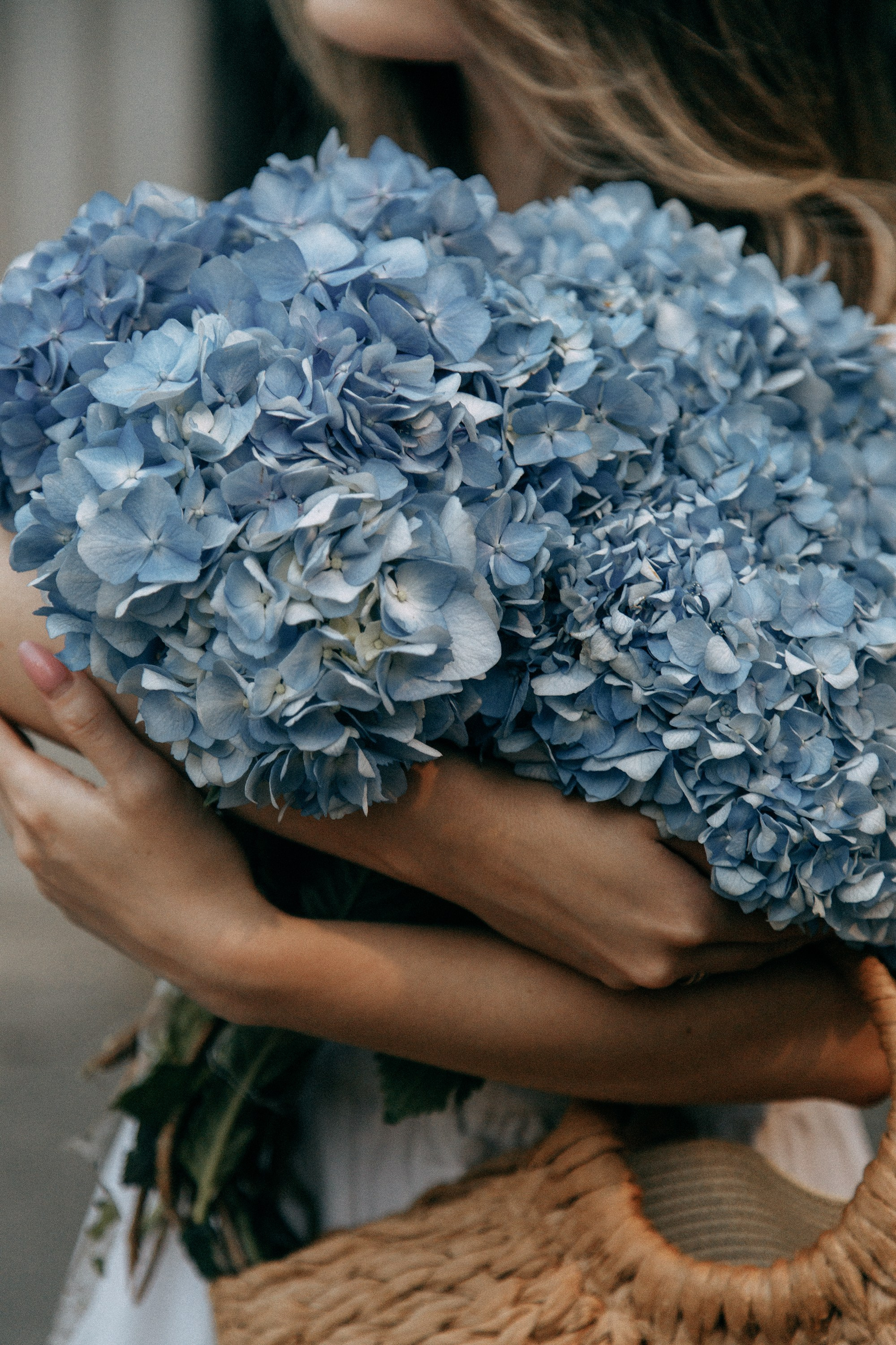 Фотосессия с гортензиями в Батуми