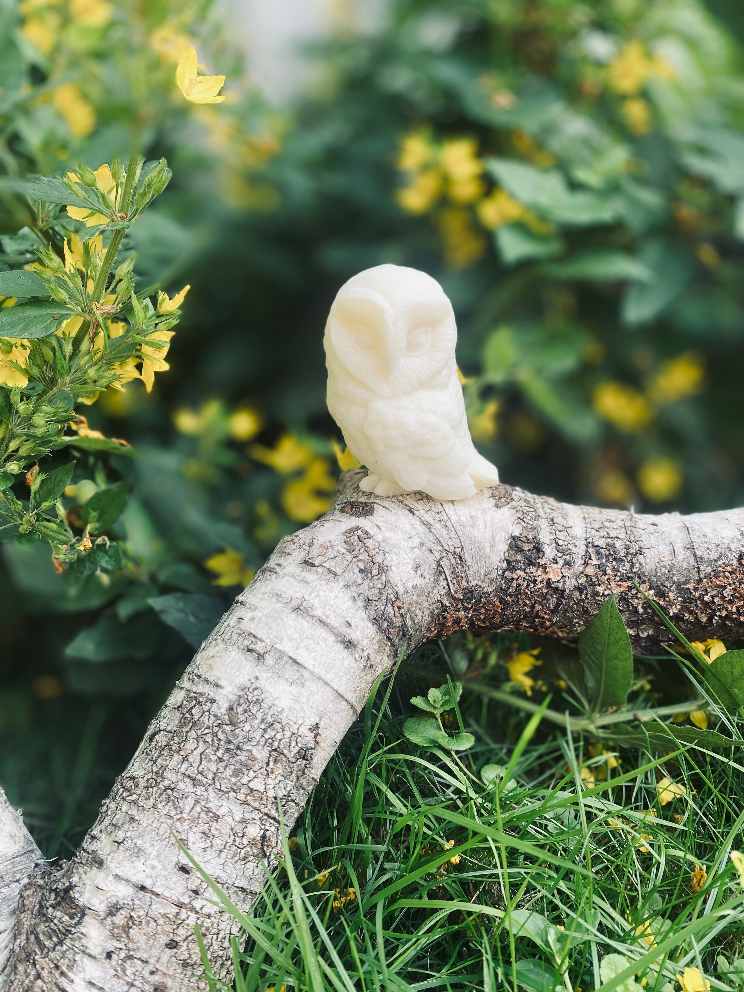 Артикульная эйфория. Семейный и детский фотограф. Москва. Пронина Тома