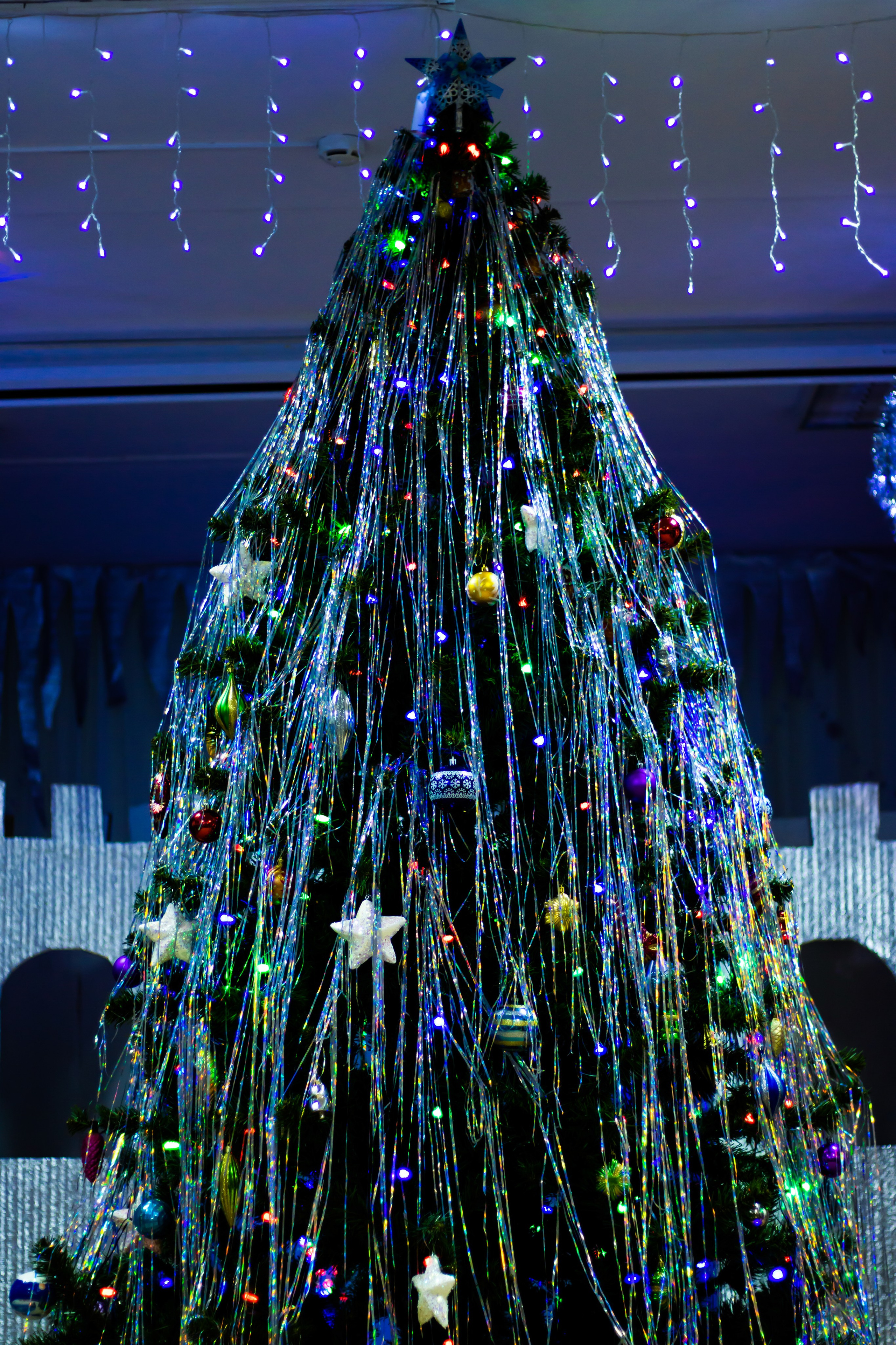 Праздничные съемки. Семейный фотограф в Невельске Виолетта Киселева-Лелейка