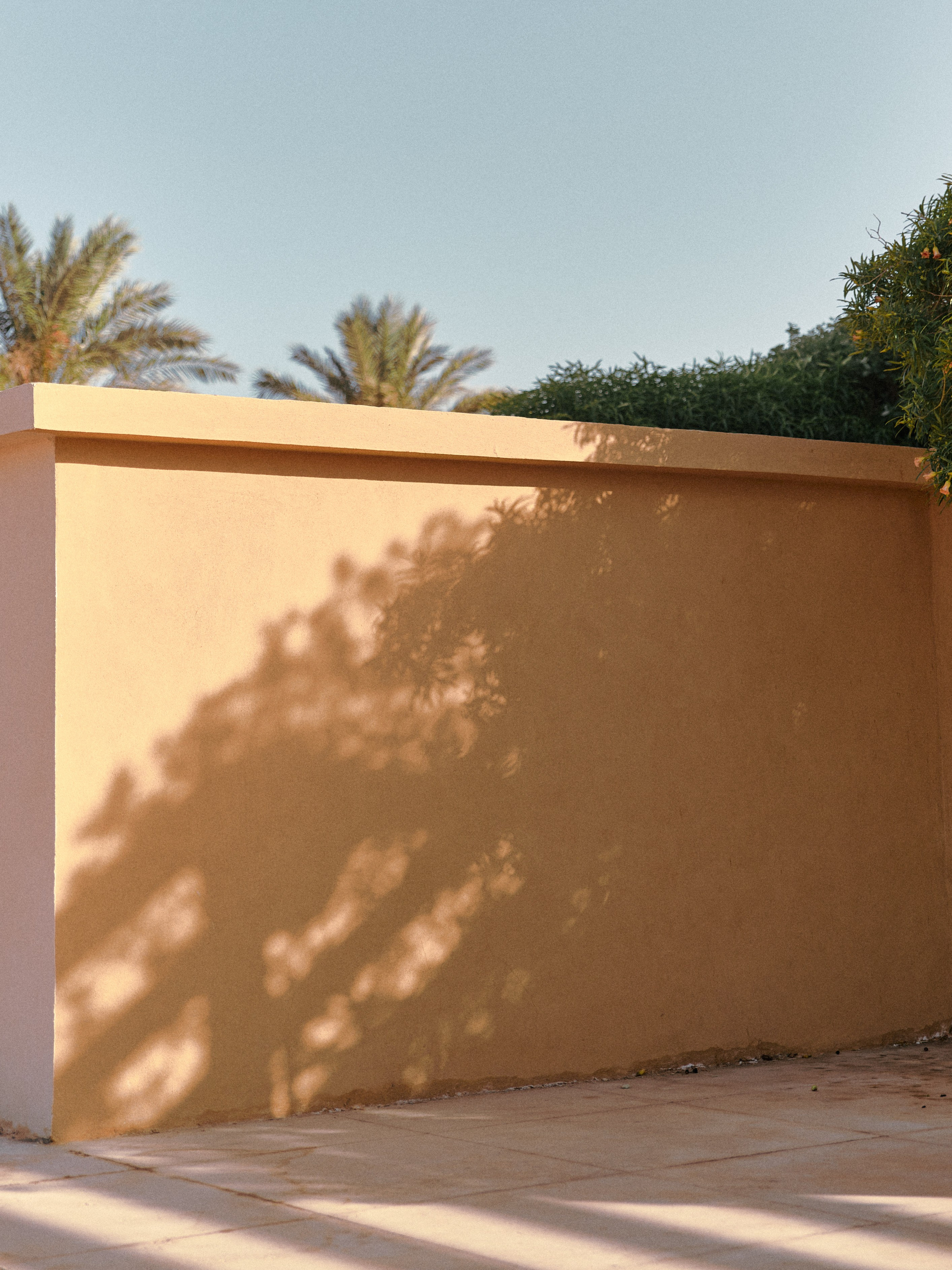 Диптих. Jorgis — фотограф в Хургаде / обучение фотографии