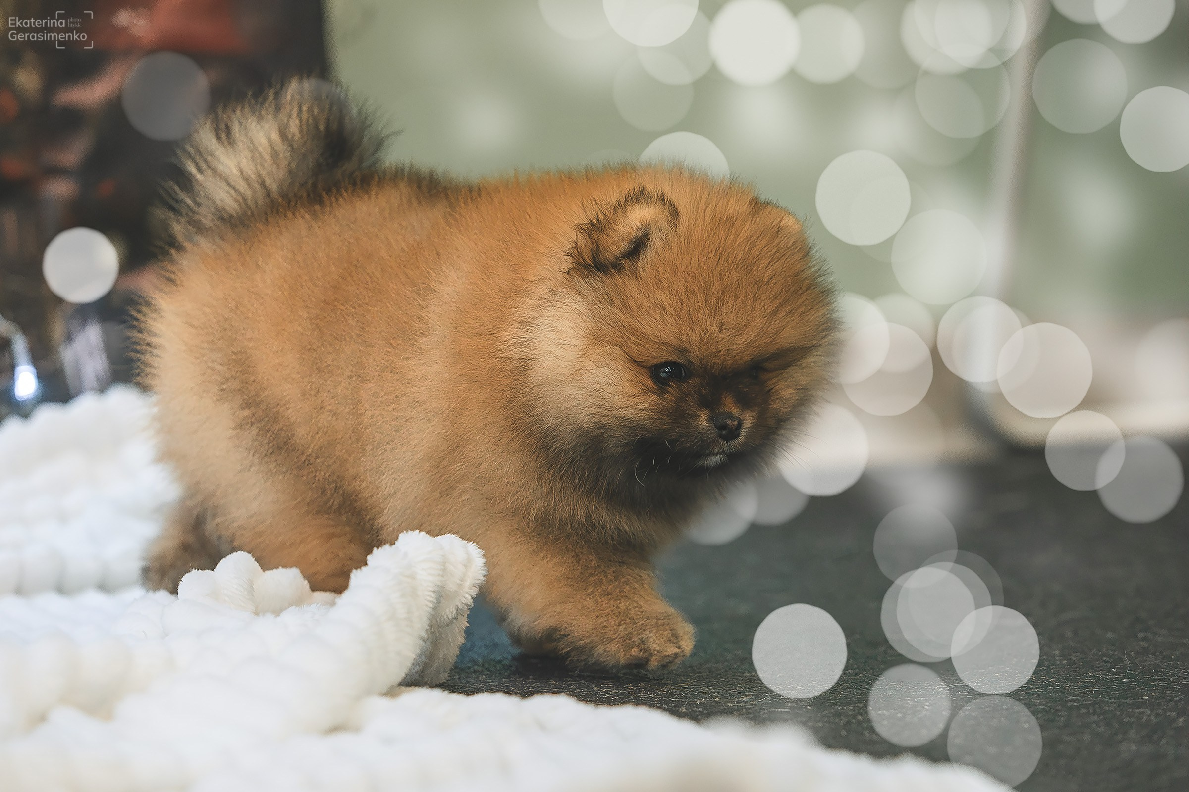 Фотодень. Htykk_photo