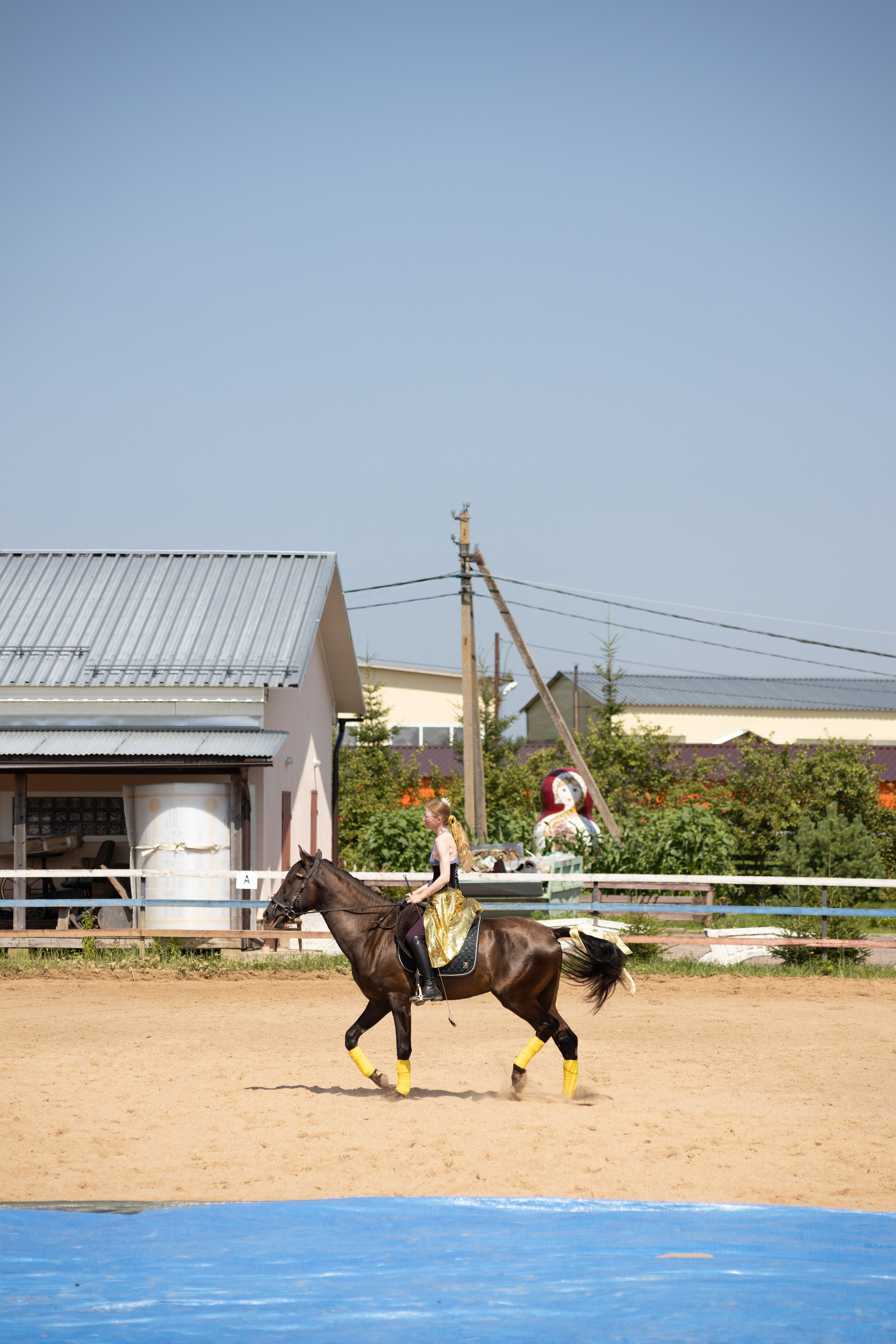 Конюшня. Фотограф в Москве и Истре