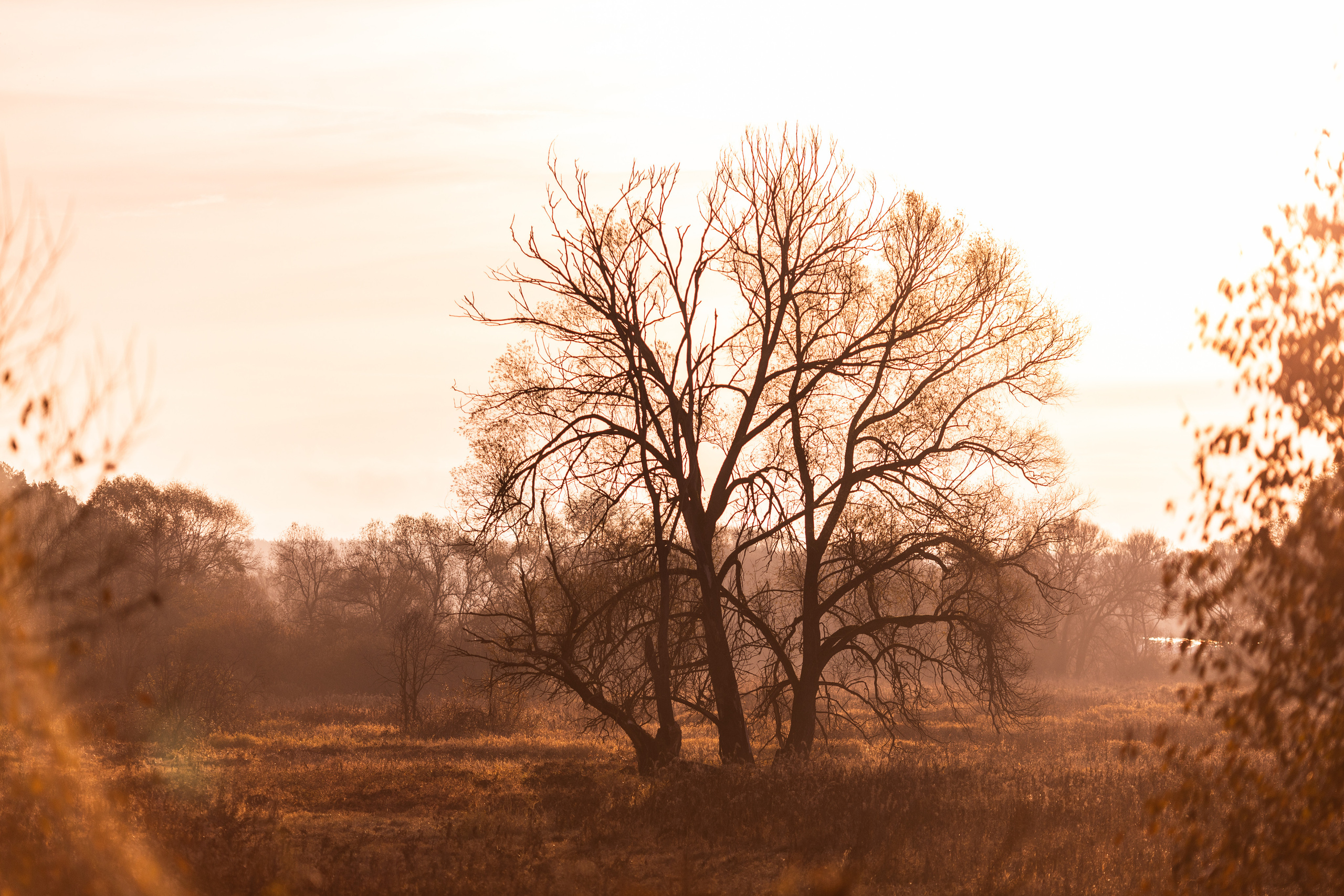 Рубеж 2021. Фотограф в Москве Десятова Ксения