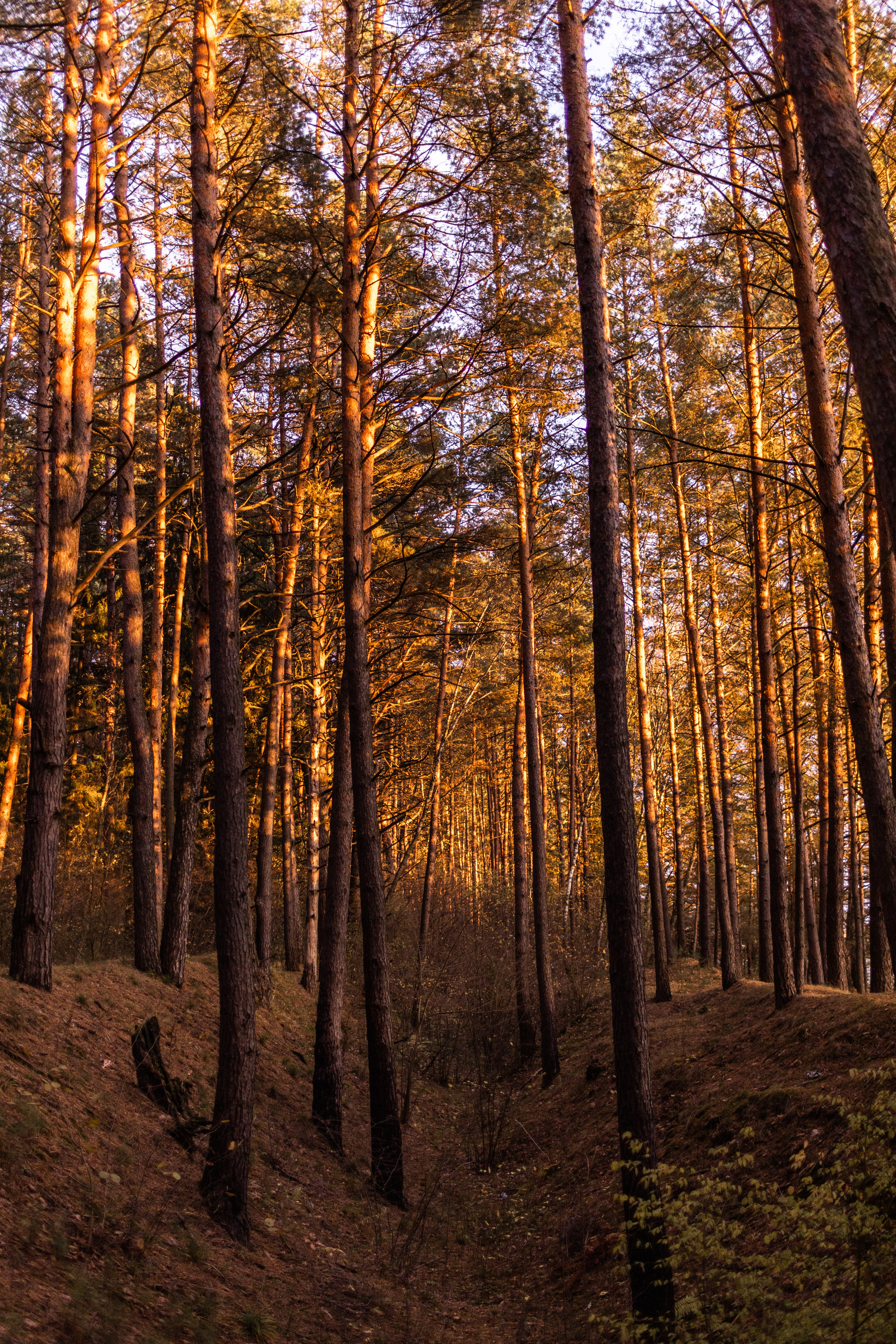 Рубеж 2021. Фотограф в Москве Десятова Ксения