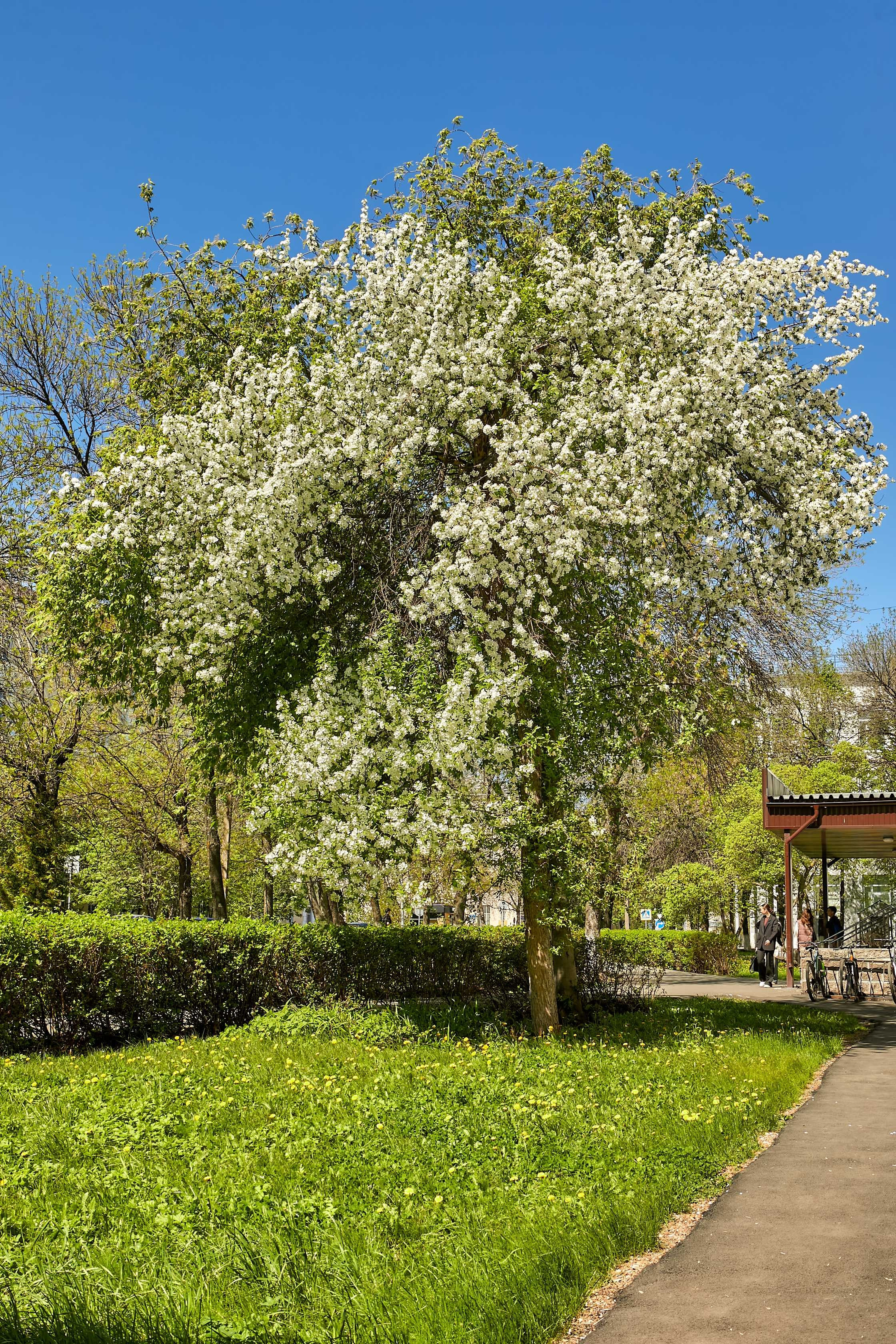 Видовые фото УГНТУ. УГНТУ — Ведущий нефтегазовый вуз России