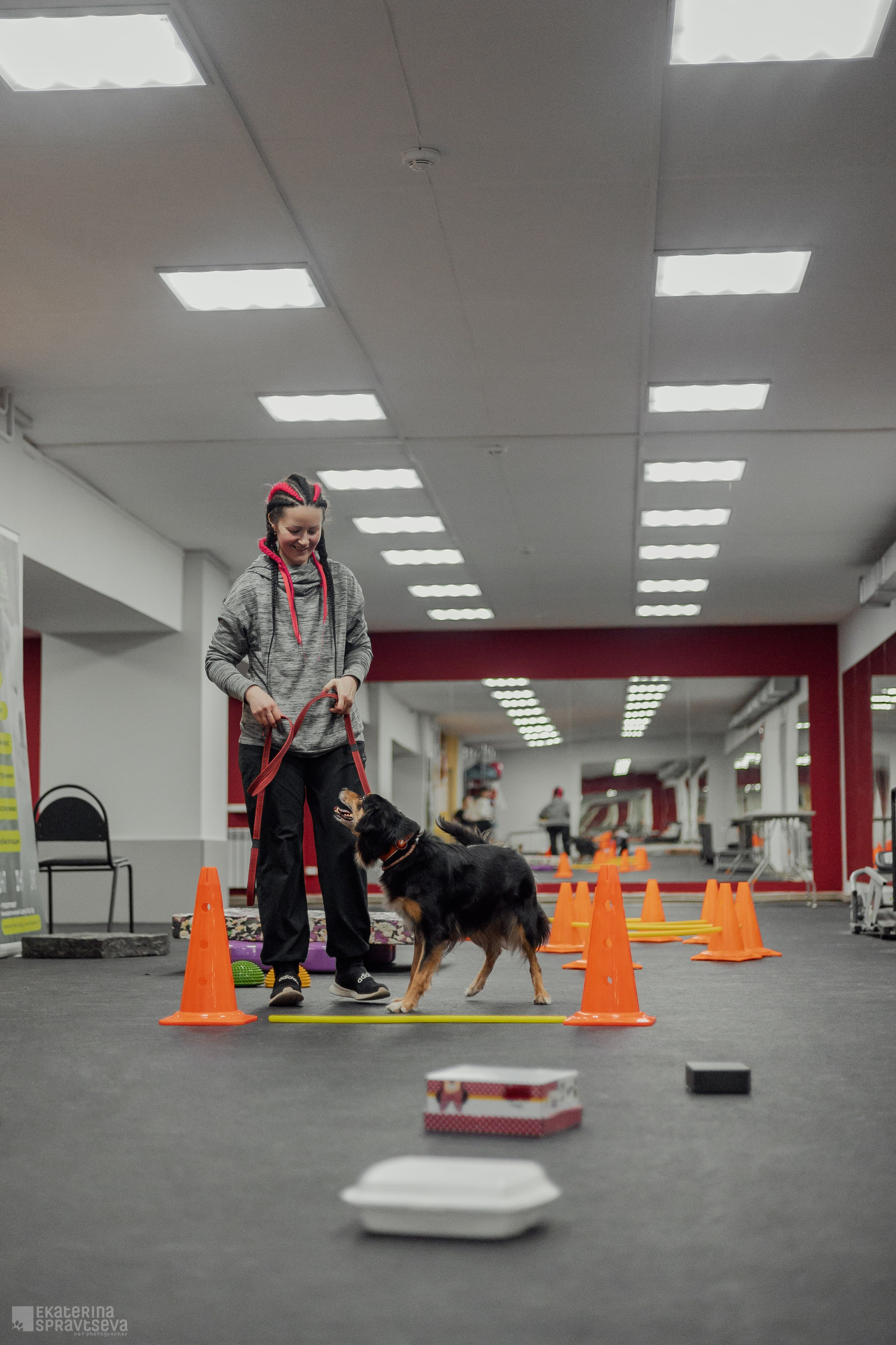 NoseWork. Фотограф Анималист Екатерина Справцева в Нижнем Новгороде