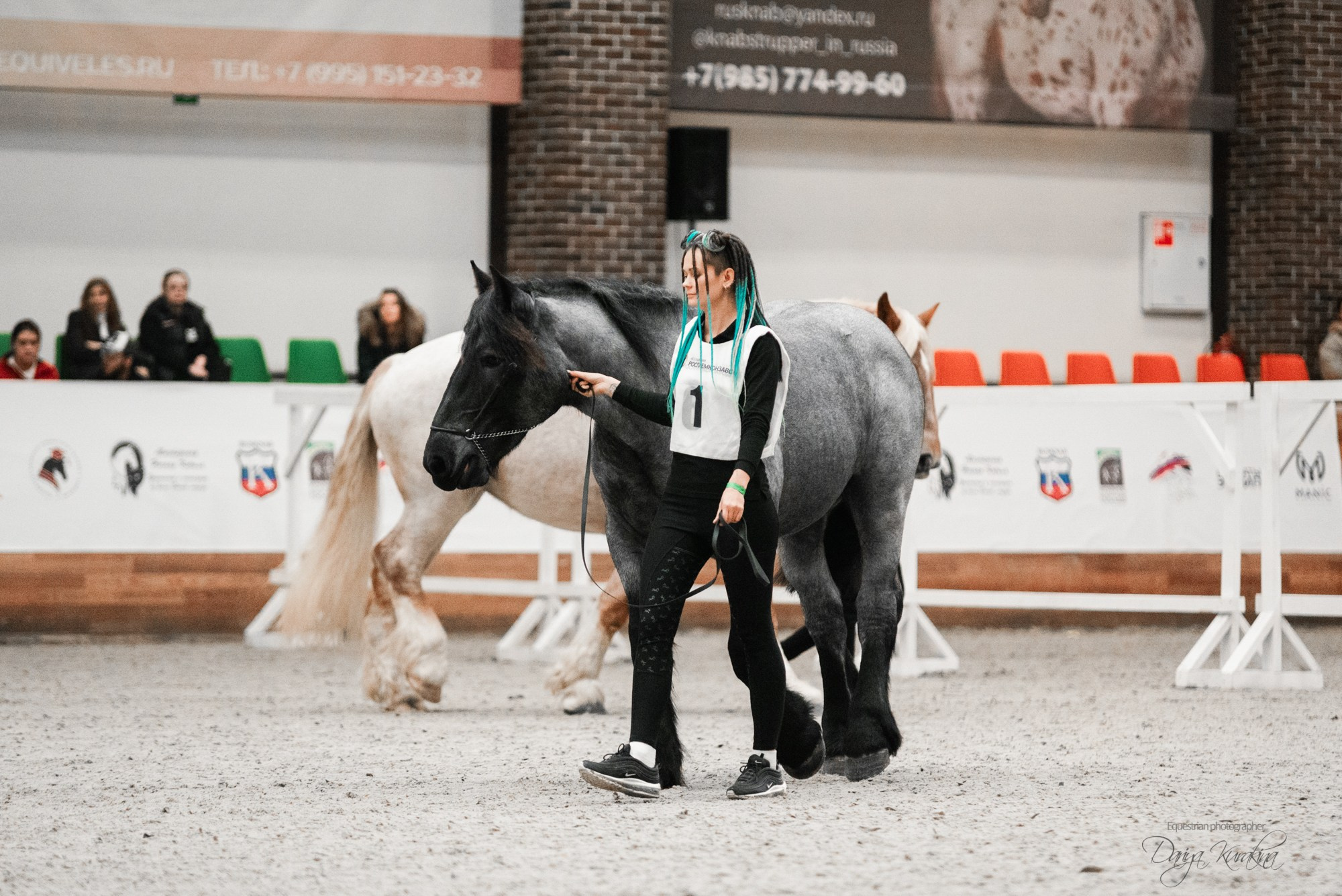 8-я международная выставка Конная Россия. Конный фотограф Куракина Дарья • Фотосессии с лошадьми