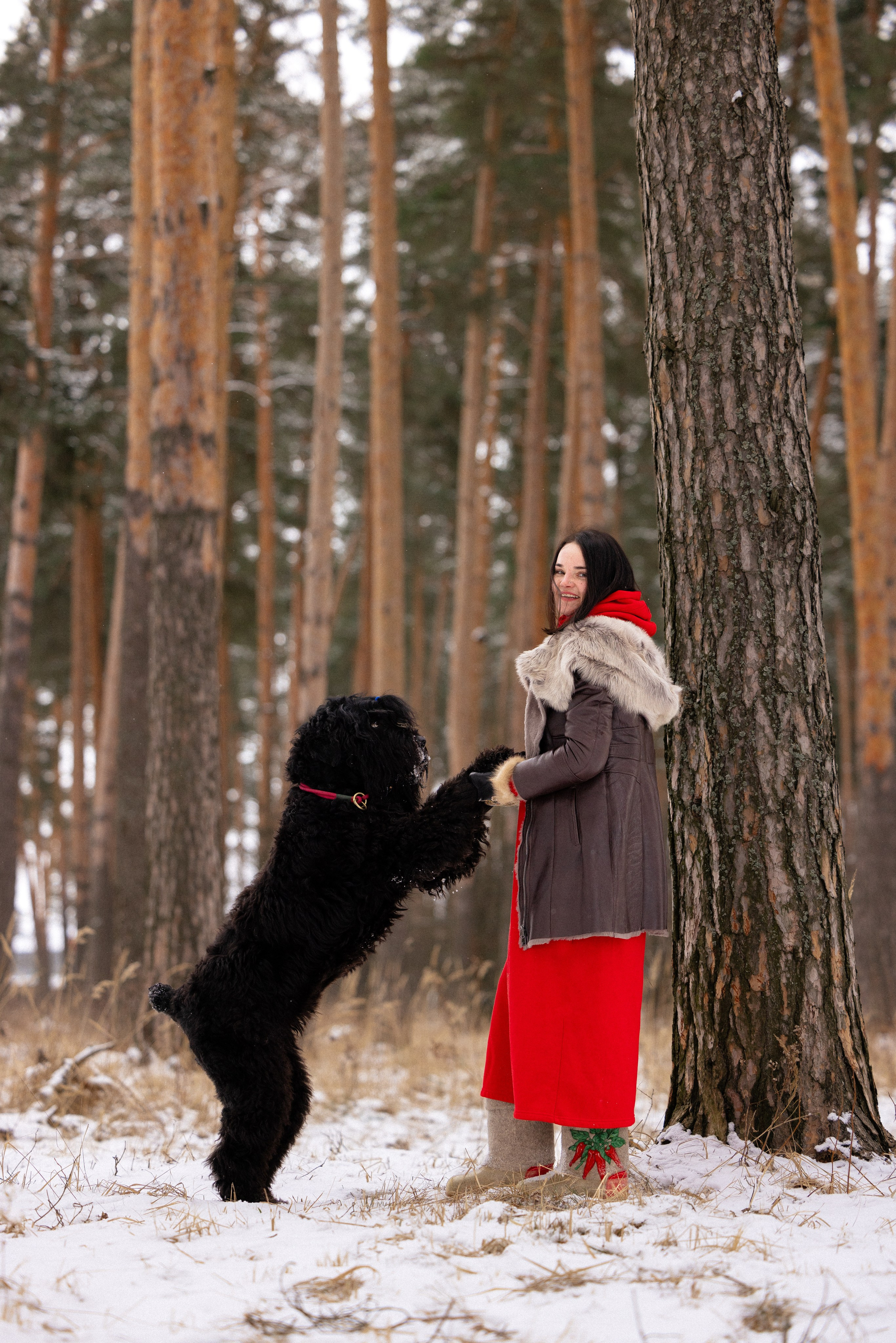 Анастасия и Ирга. Фотограф и видеограф анималист Аганина Дарья