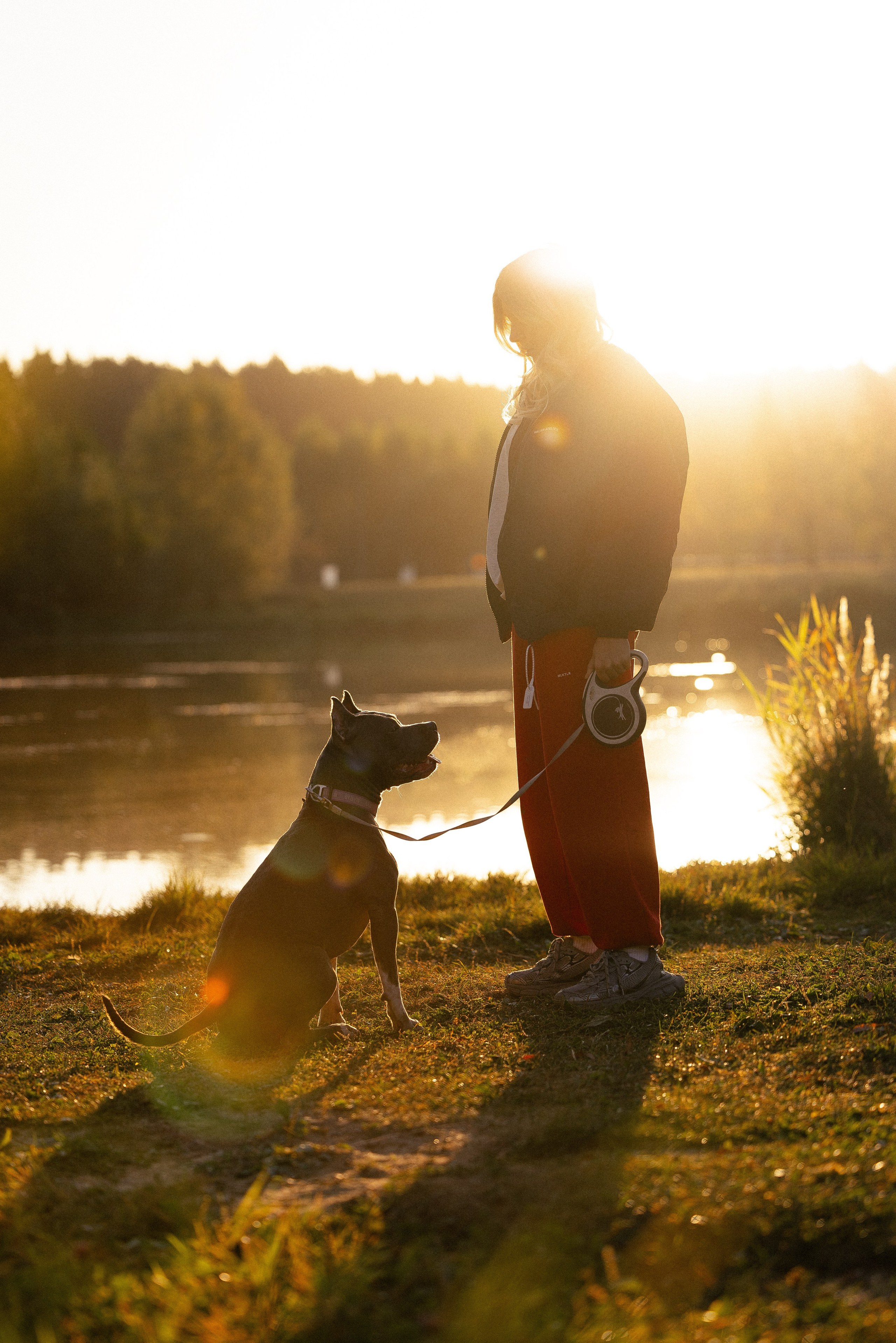 Катя, Леша, Лея и Трой. Фотограф и видеограф анималист Аганина Дарья