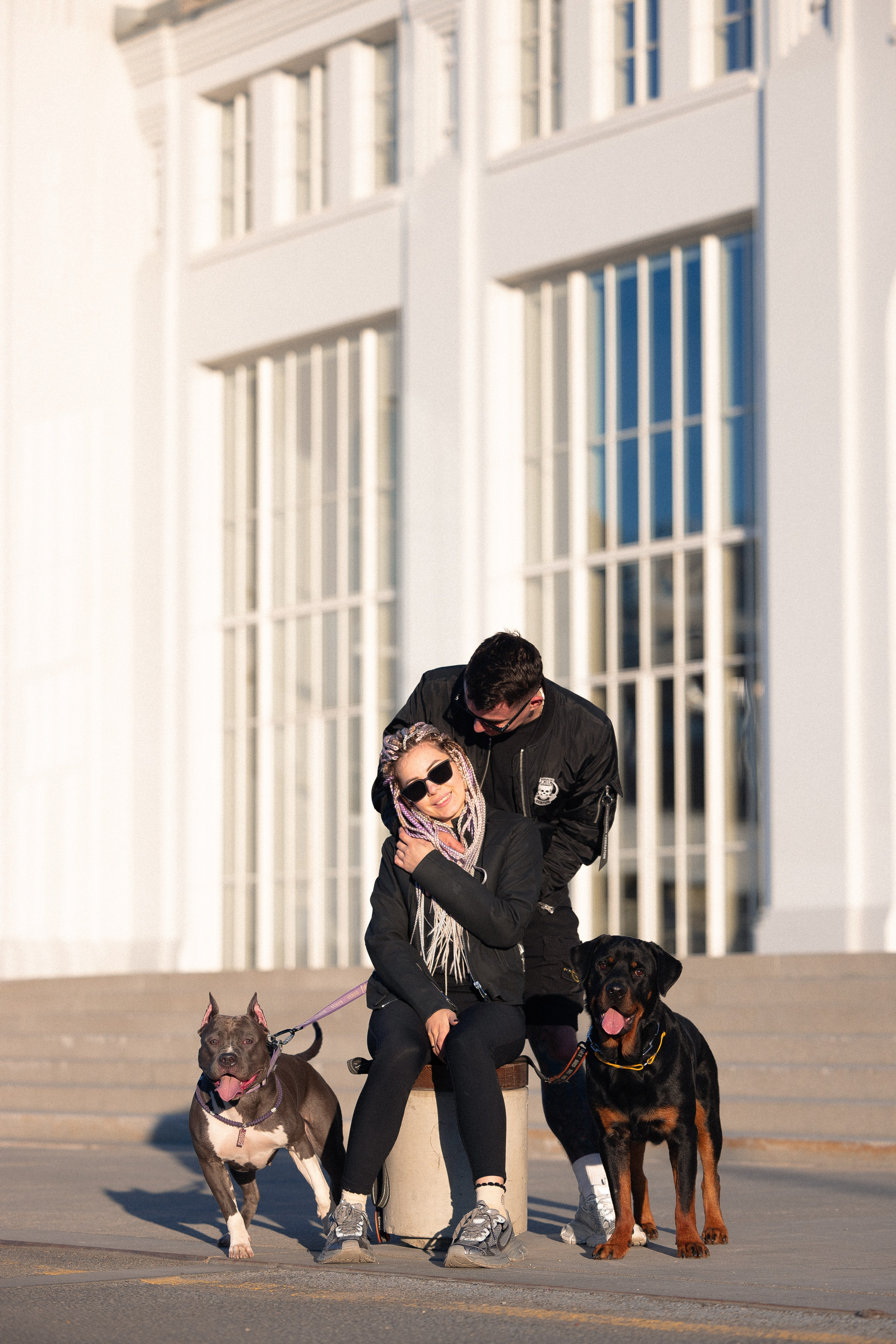 Катя, Леша, Трой и Лея. Фотограф и видеограф анималист Аганина Дарья