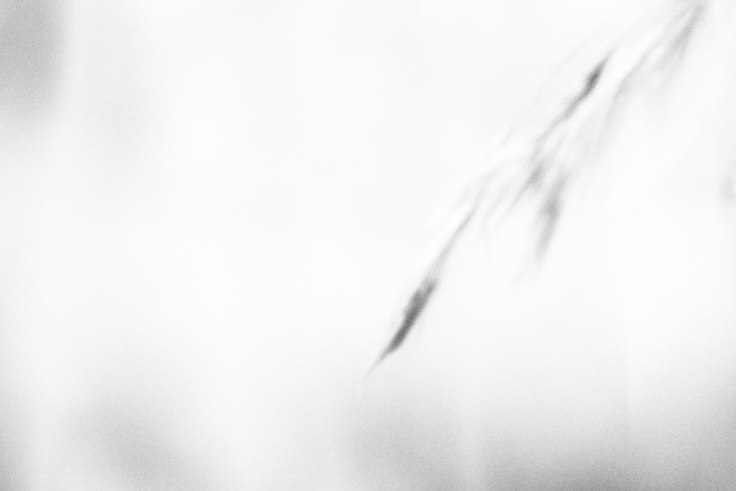 Внутривенные сны (2023)