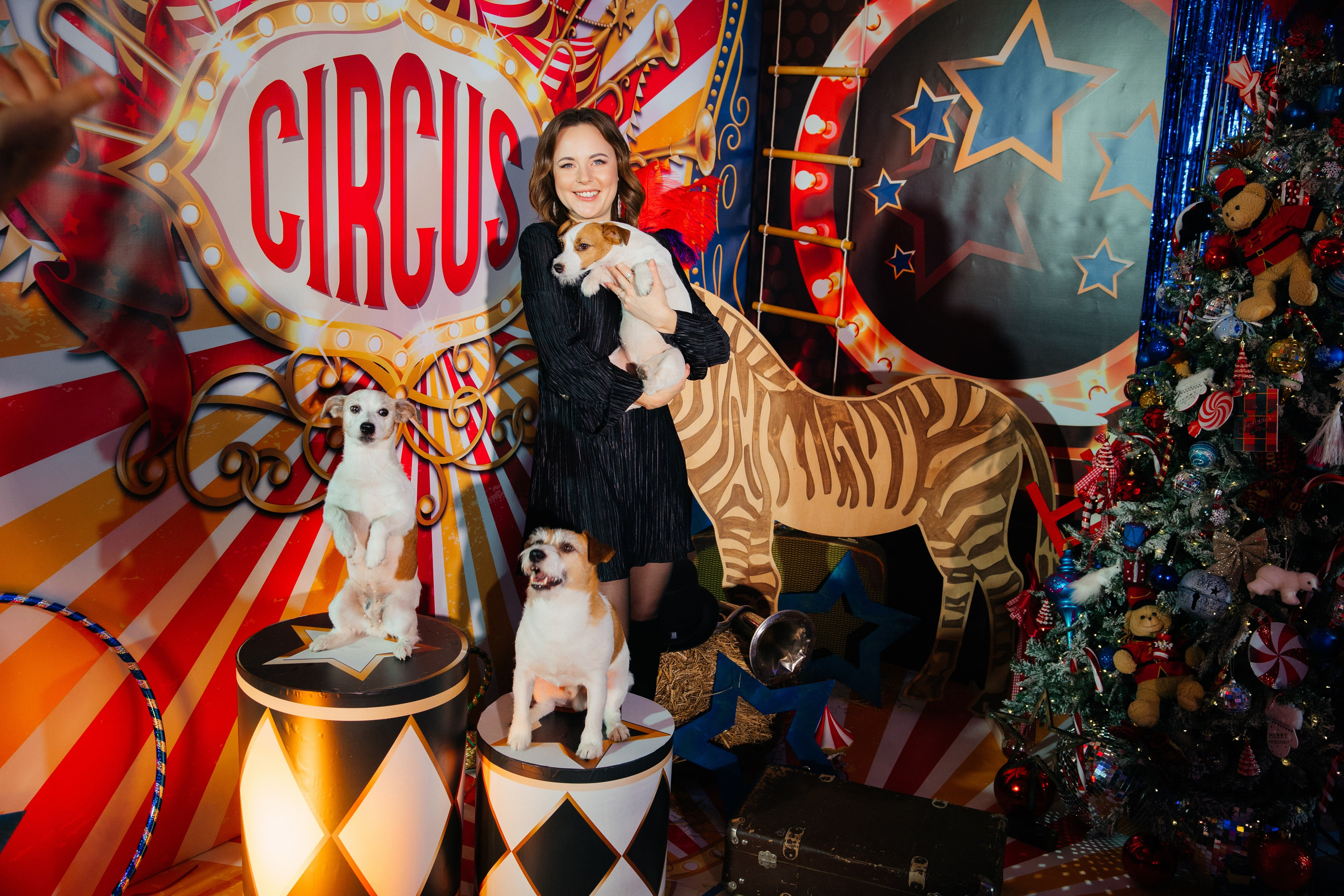 Корпоратив Цирк. Свадебный фотограф Минск РБ