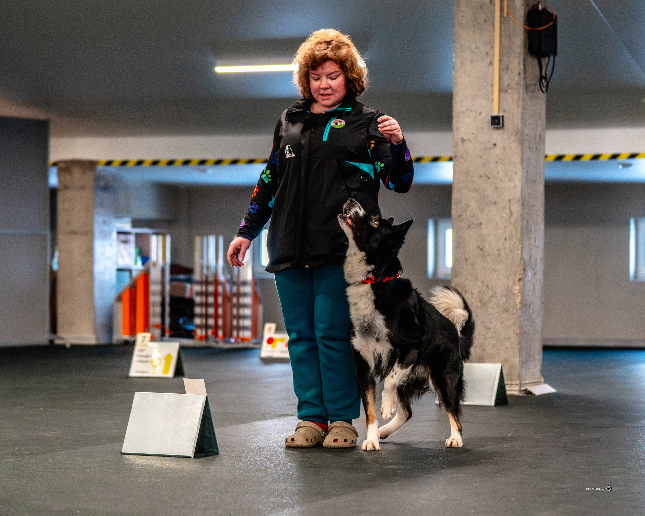 ТЫ И Я (соревнования по ралли-обидиенс). Фотограф-анималист, семейный фотограф в Москве и Подмосковье. Фотосъёмка кинологических дисциплин