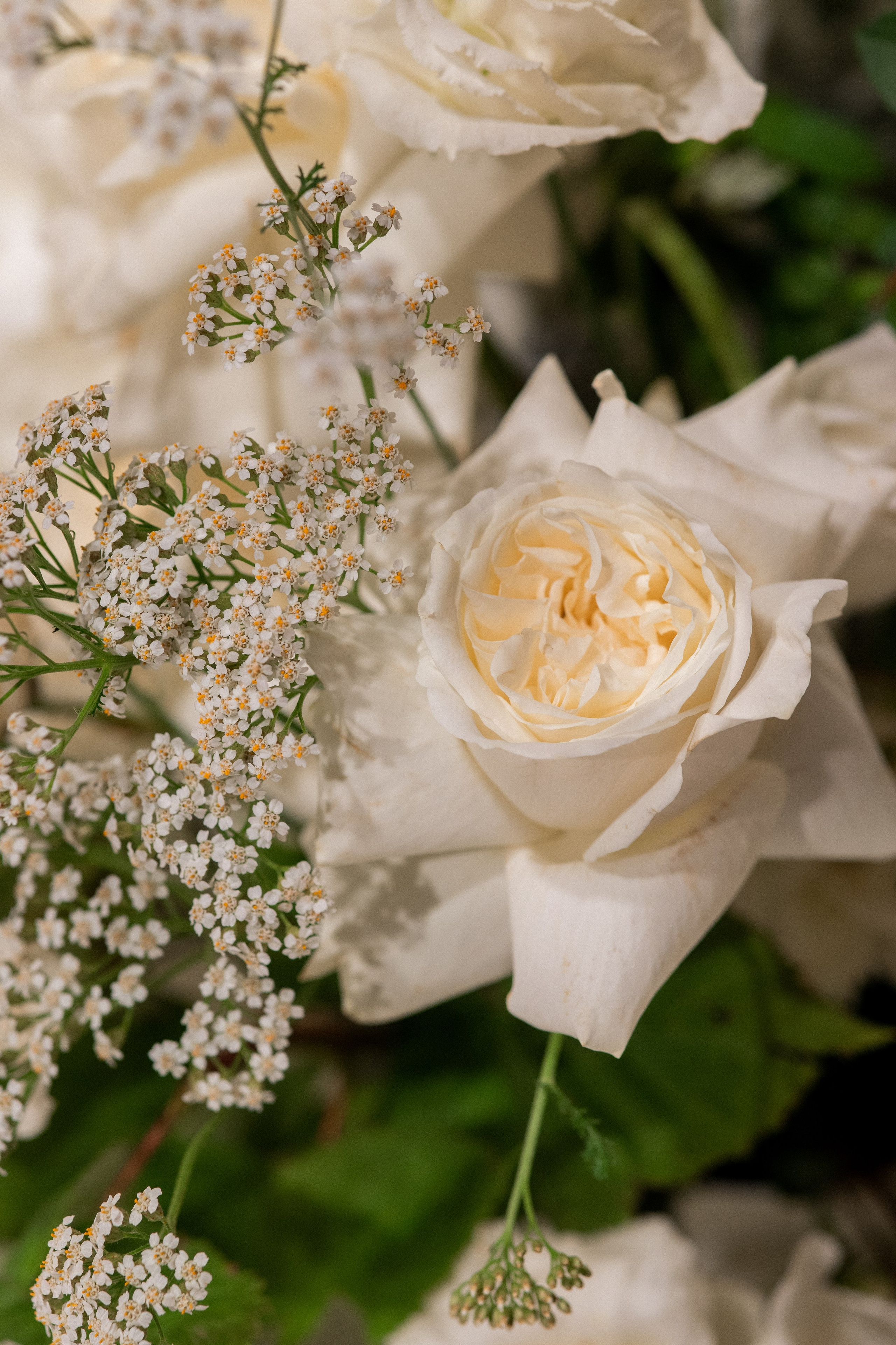 P & T. Tarasov-stroganova.ru