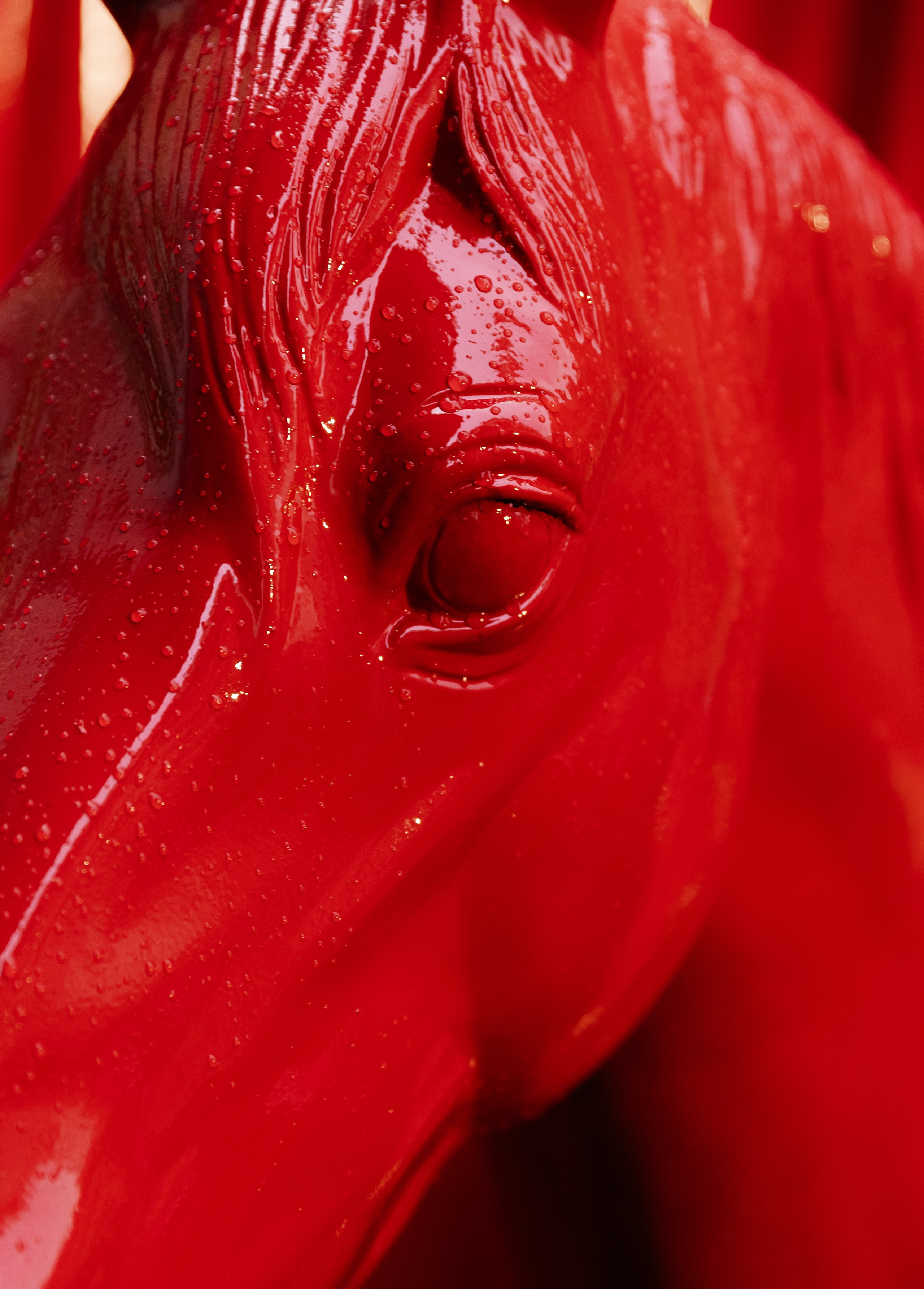 КРАСНАЯ МОСКВА