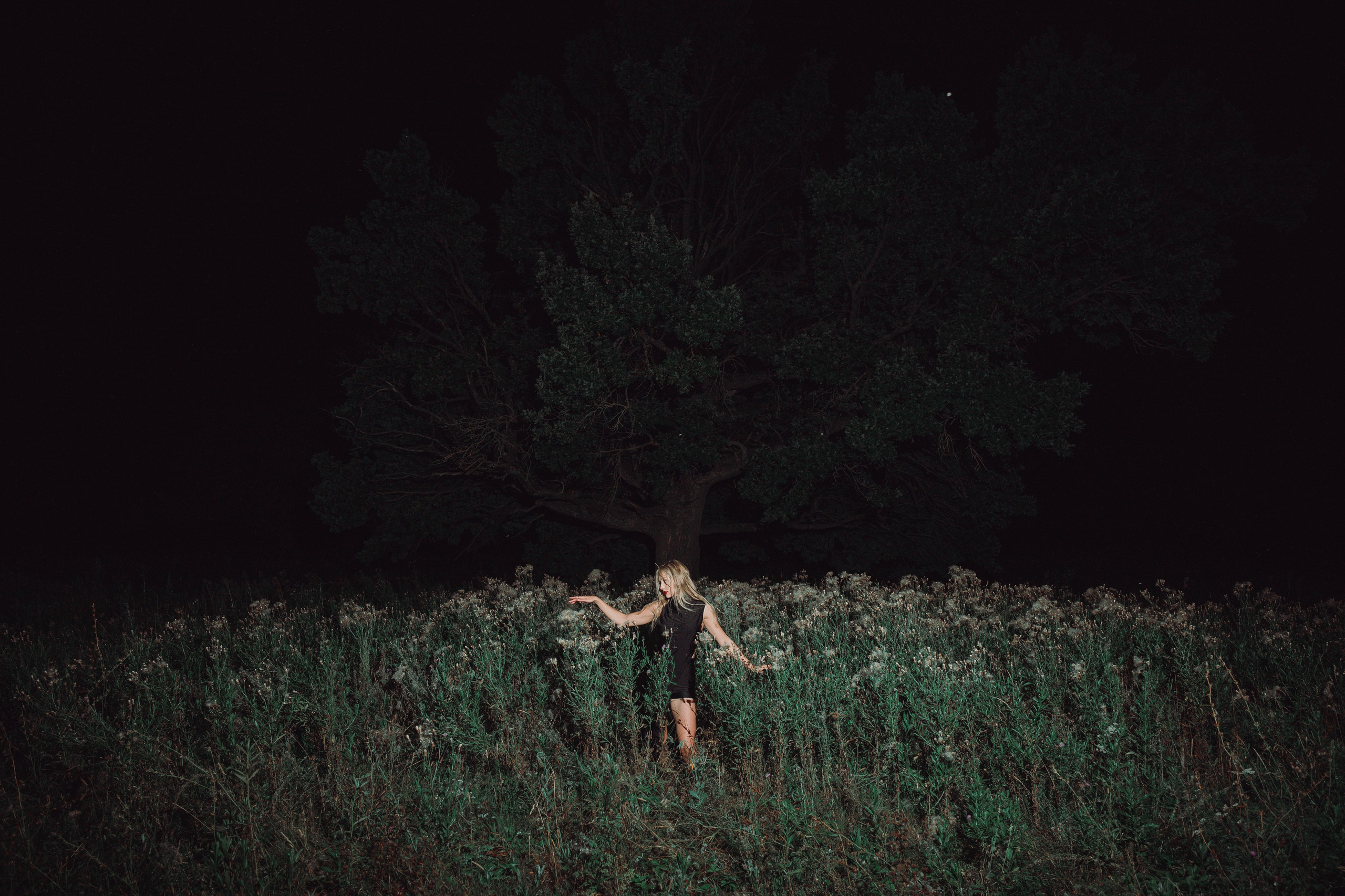 Ночной стиль дубов. Свадебный и репортажный фотограф Павел Царьков