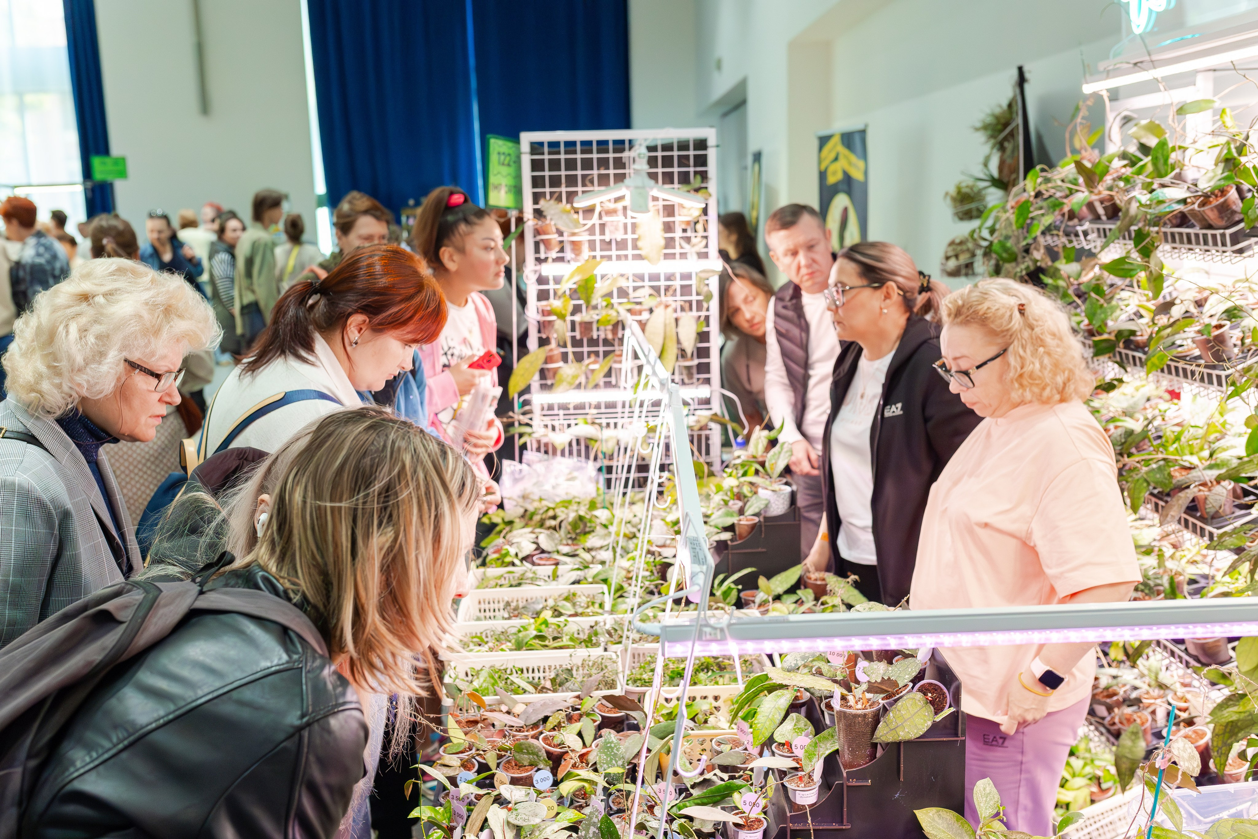 Орхидиум сентябрь 2025. Александра Куликова фотограф, Москва