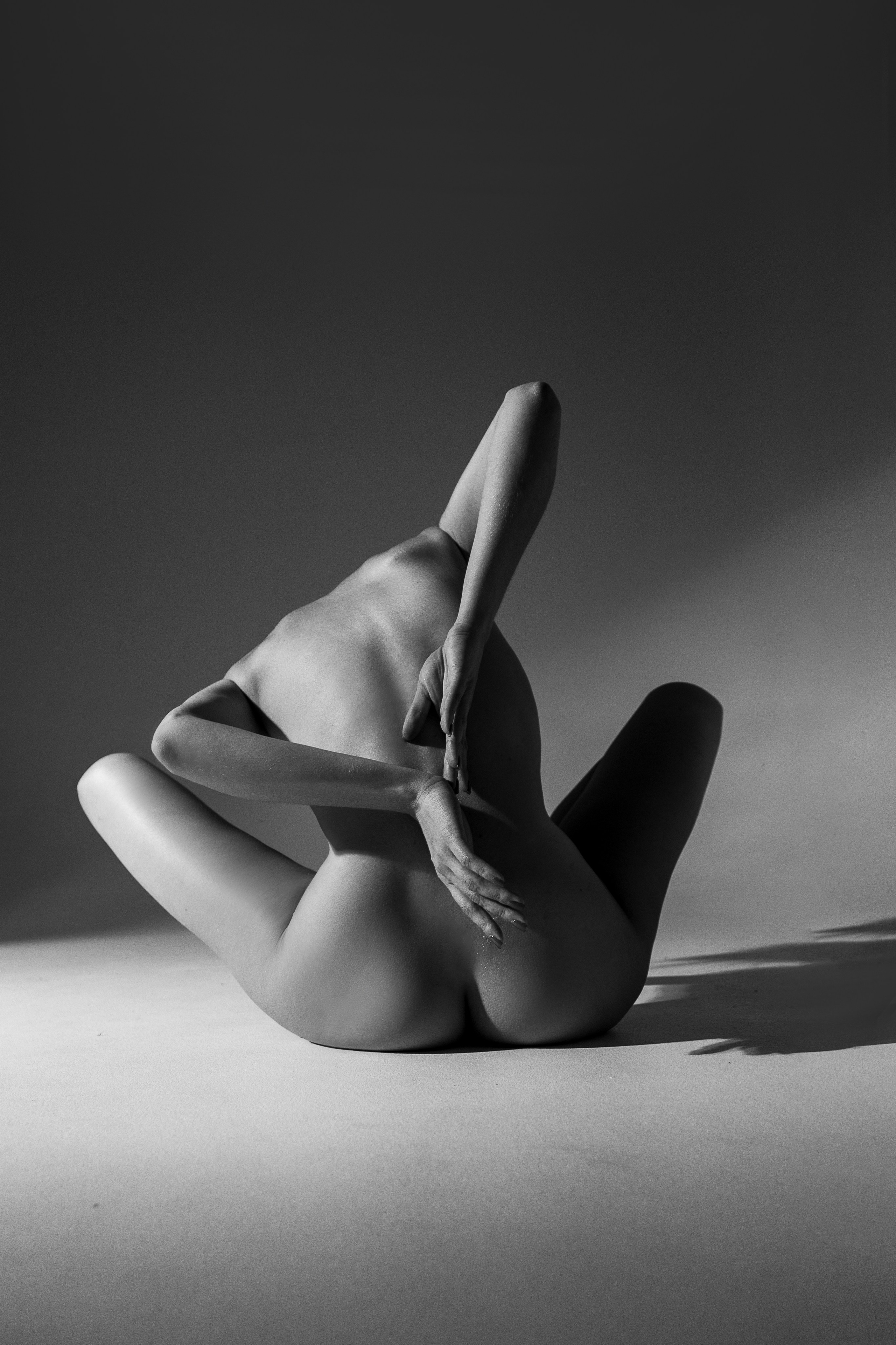 Арт-ню. Алена Борисова фотограф в Ставрополе