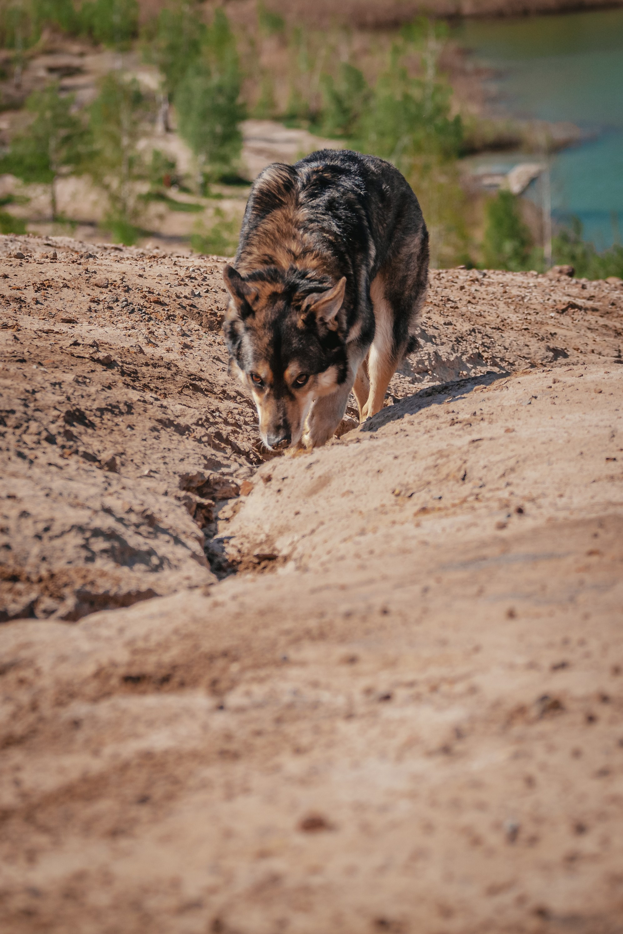 Кондуки. Фотограф-анималист Татьяна Степанова