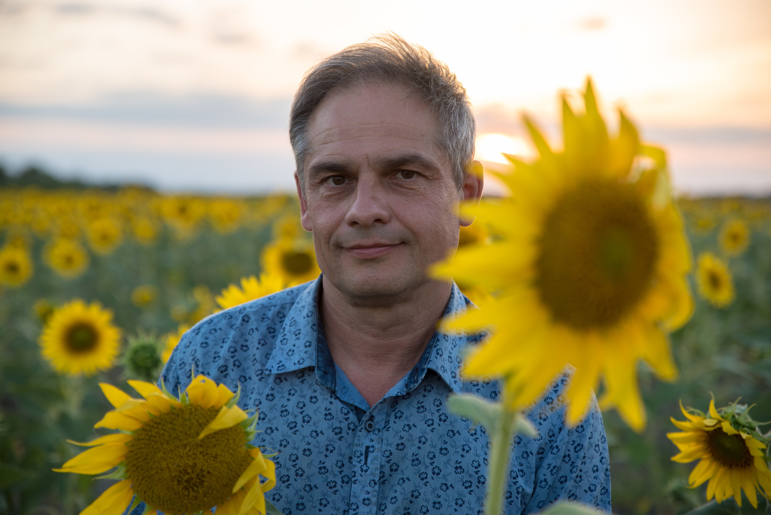 Подсолнухи