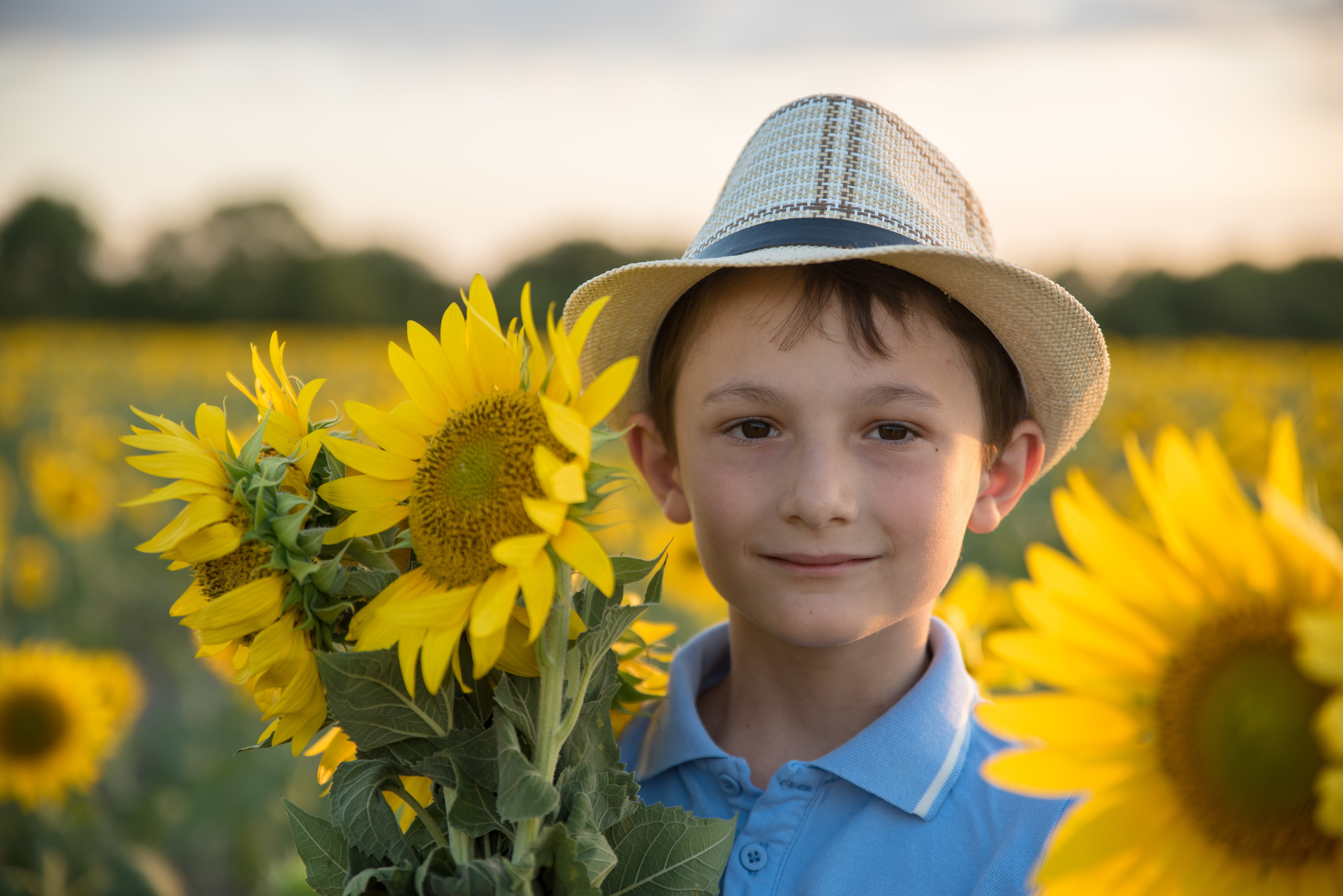 Подсолнухи