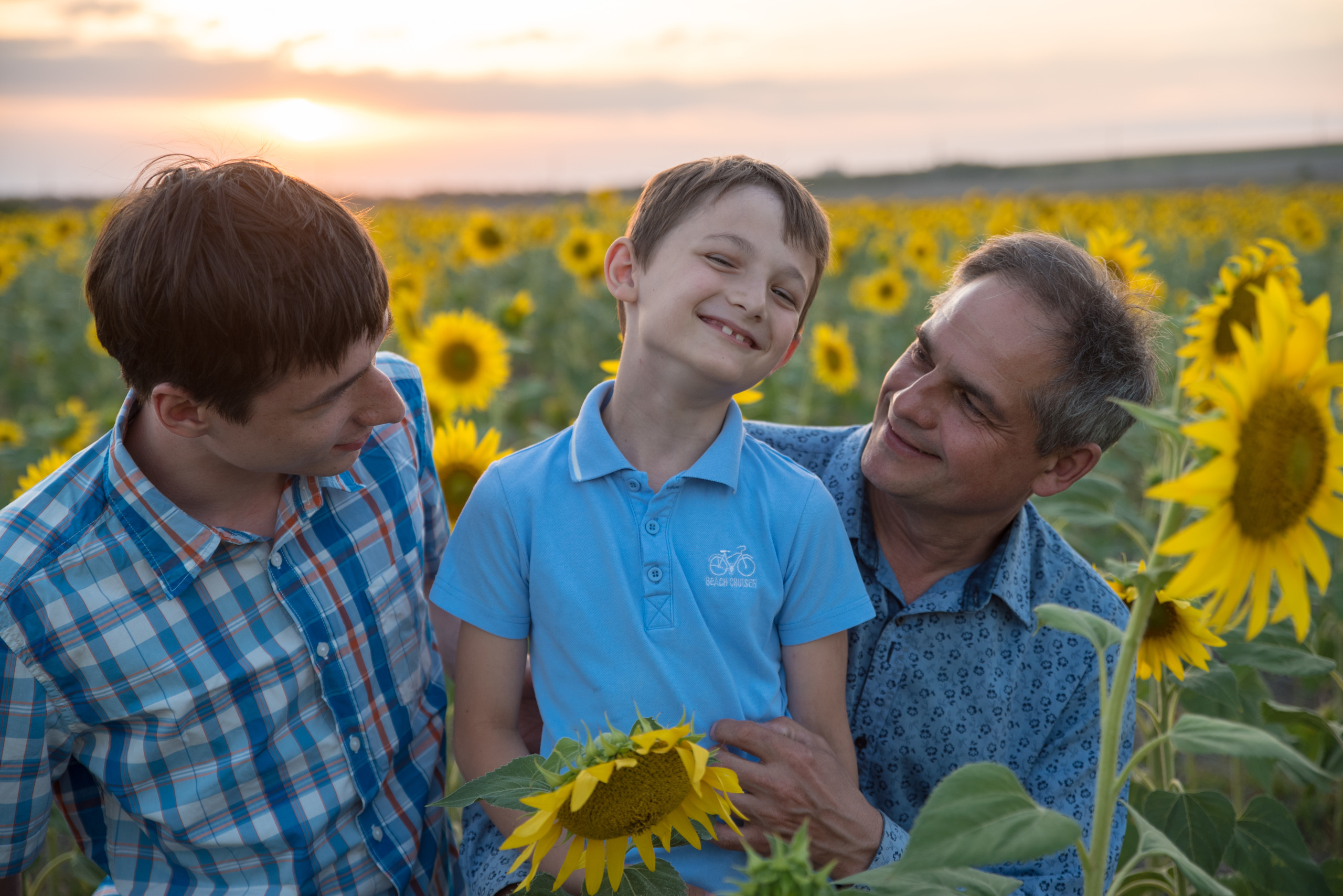 Подсолнухи