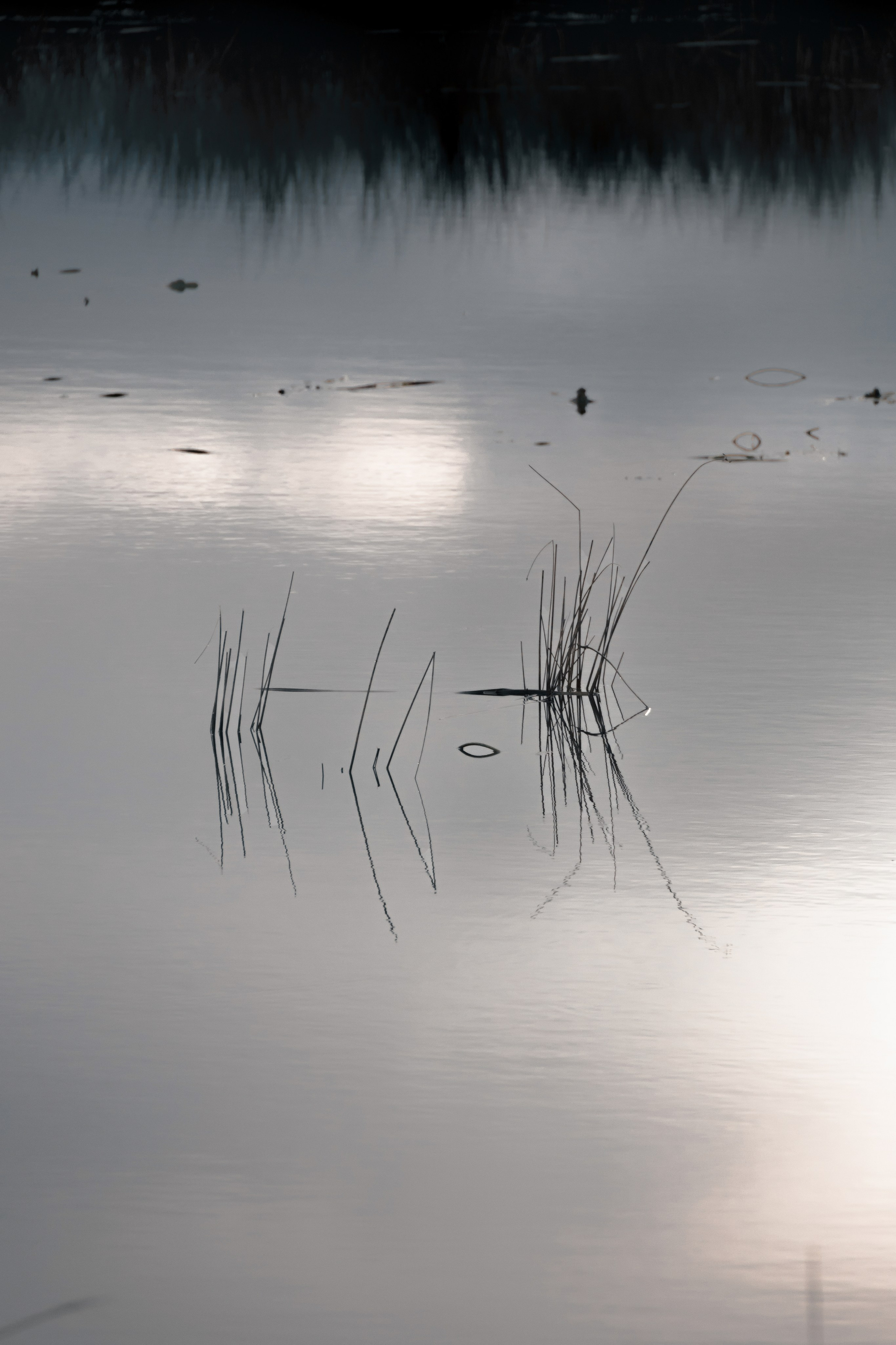 1-й Северный форт Кронштадт