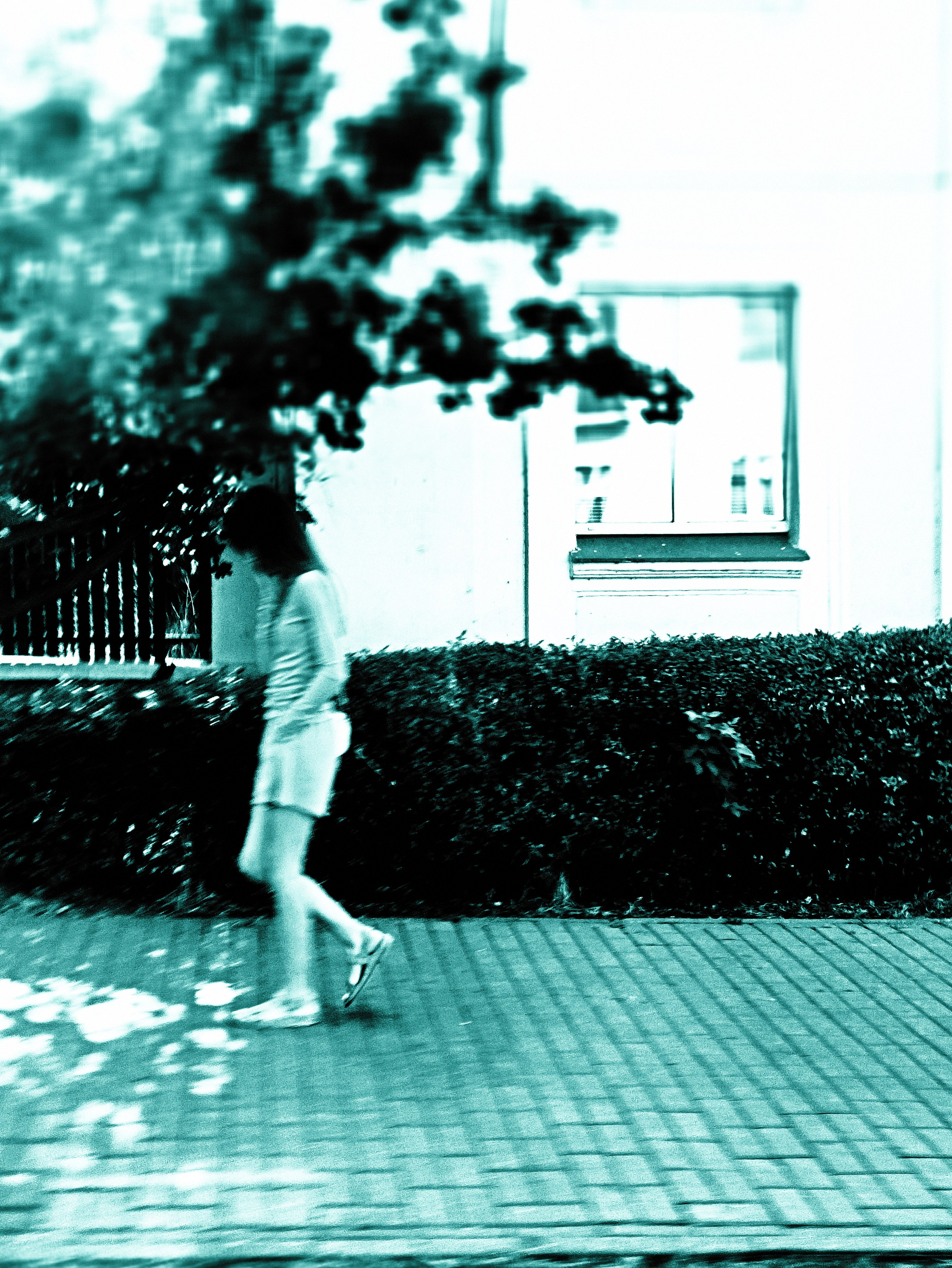 Street photo. Фотограф (photographer) Lischinski Vitaliy