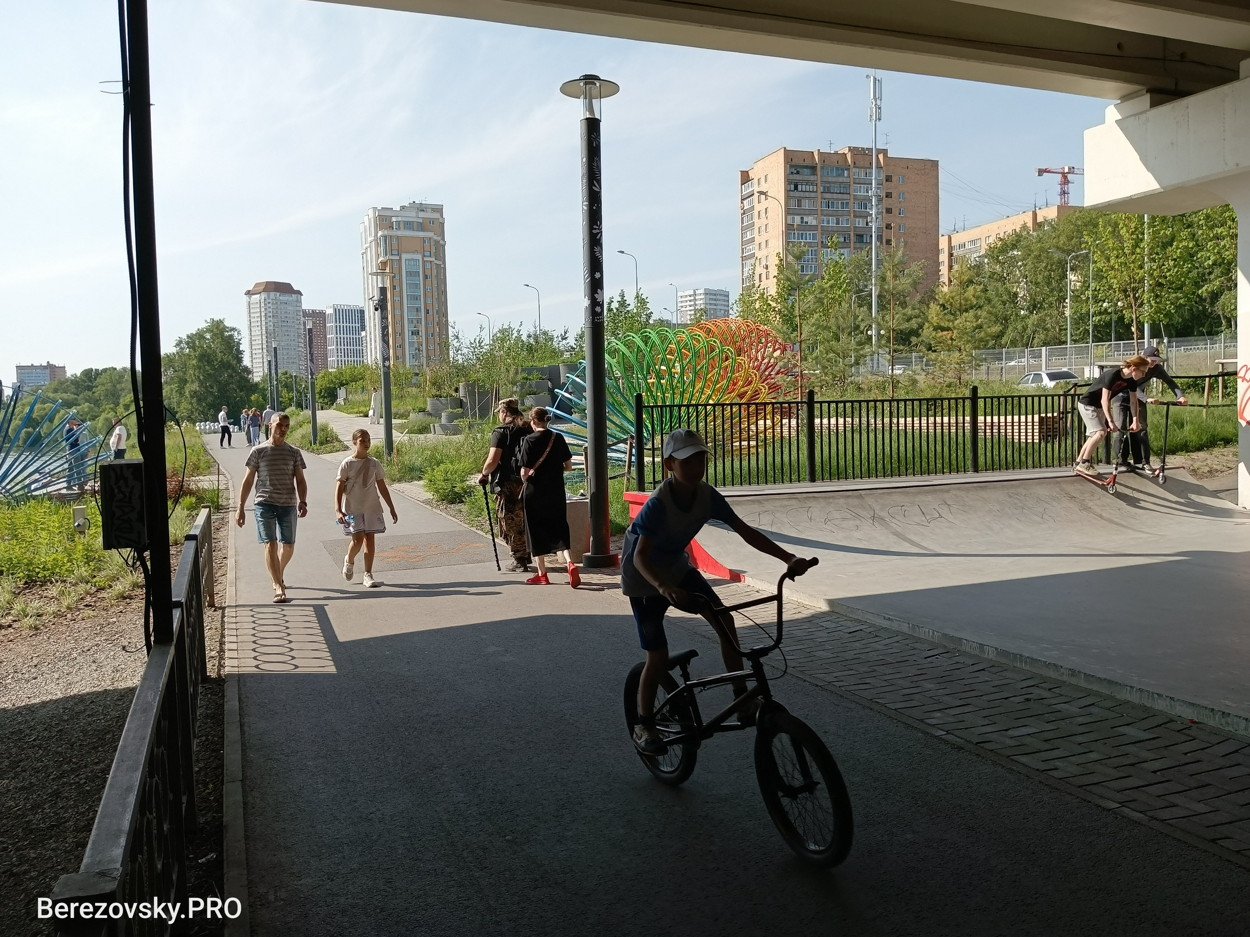 Солнечный. Фотограф в Санкт-Петербурге Березовский Даниил