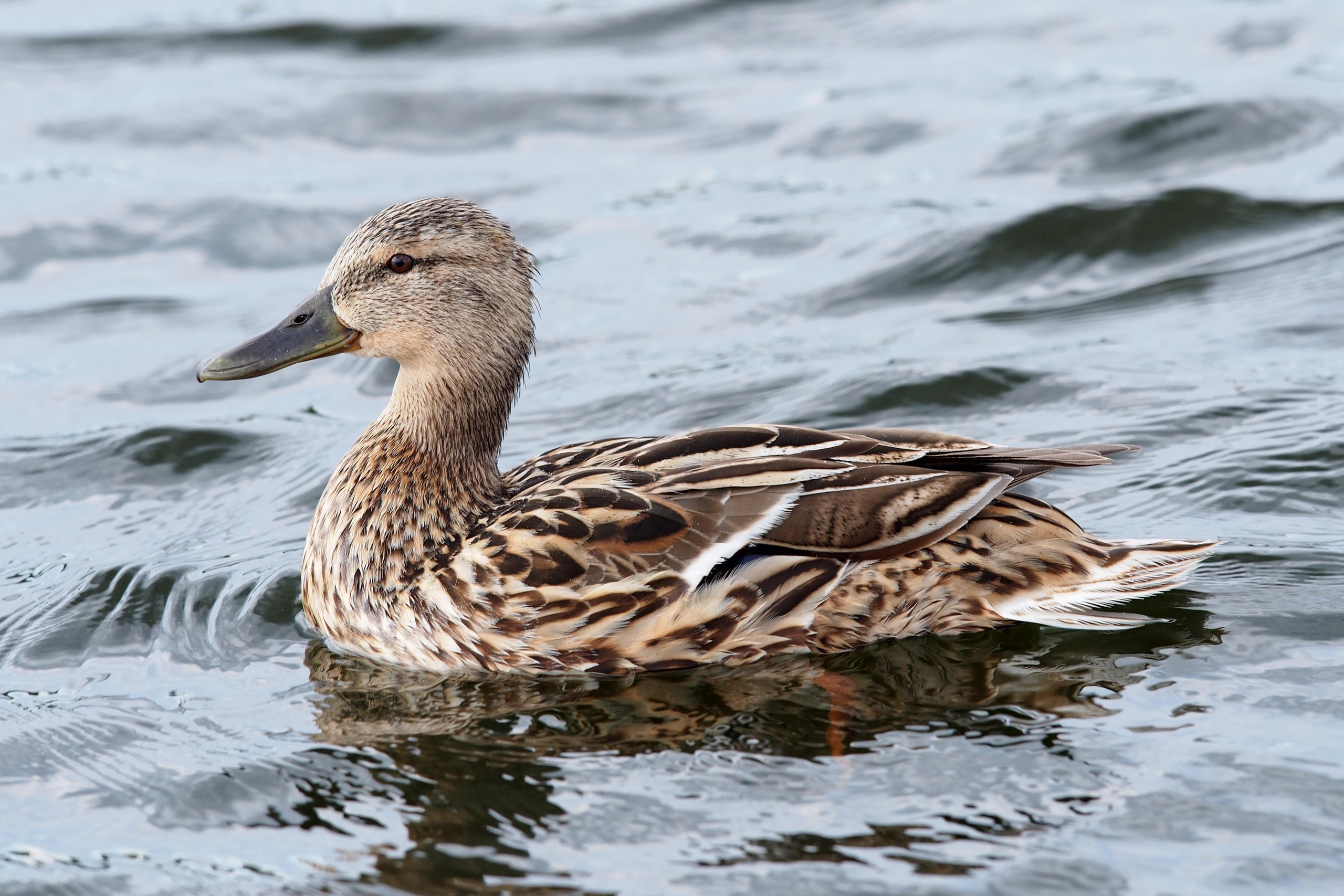 Парусная регата Операционного департамента. Репортажный и интерьерный фотограф Александра Солдатова