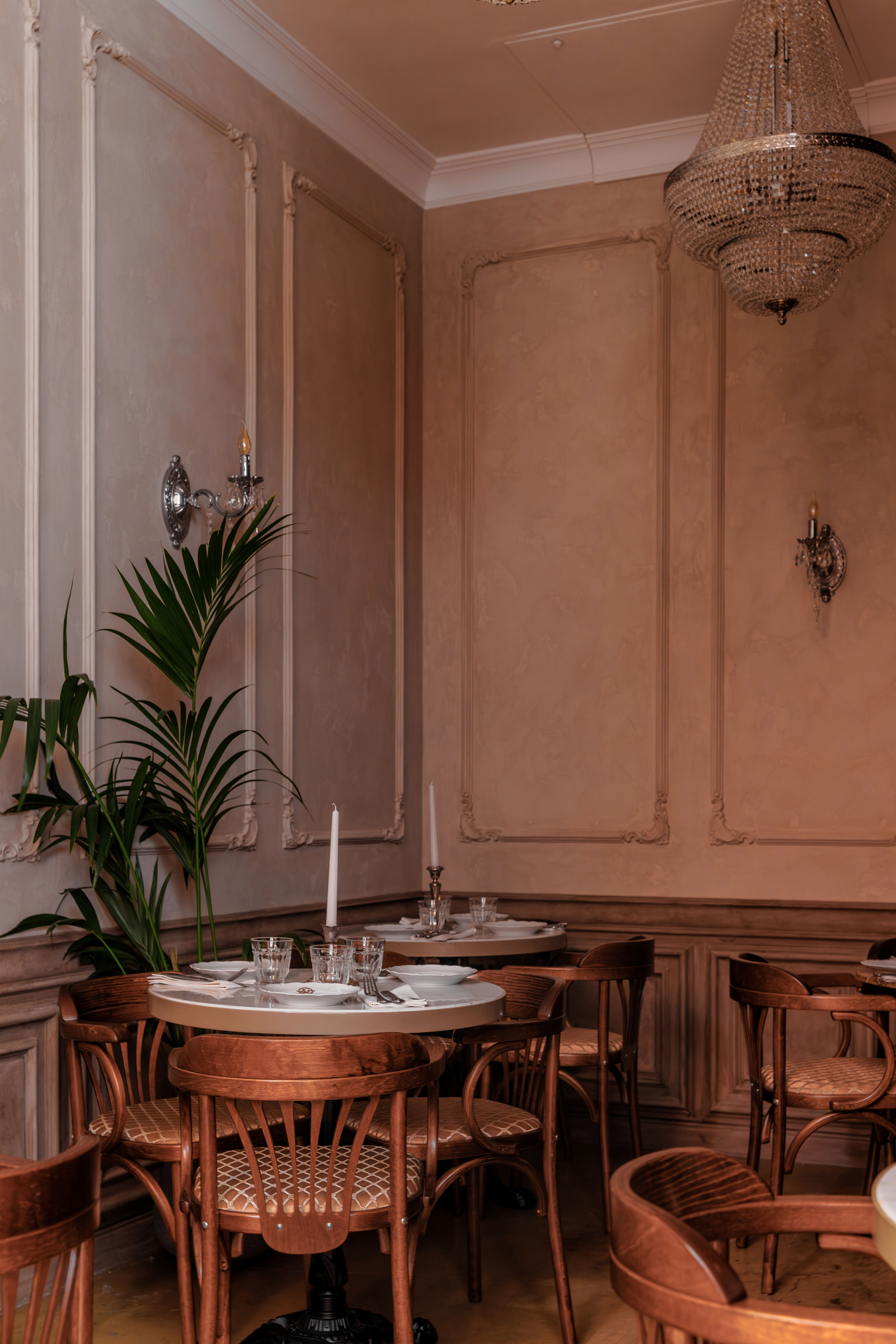 Медведь. Репортажный фотограф в Санкт-Петербурге Жолудев Владислав