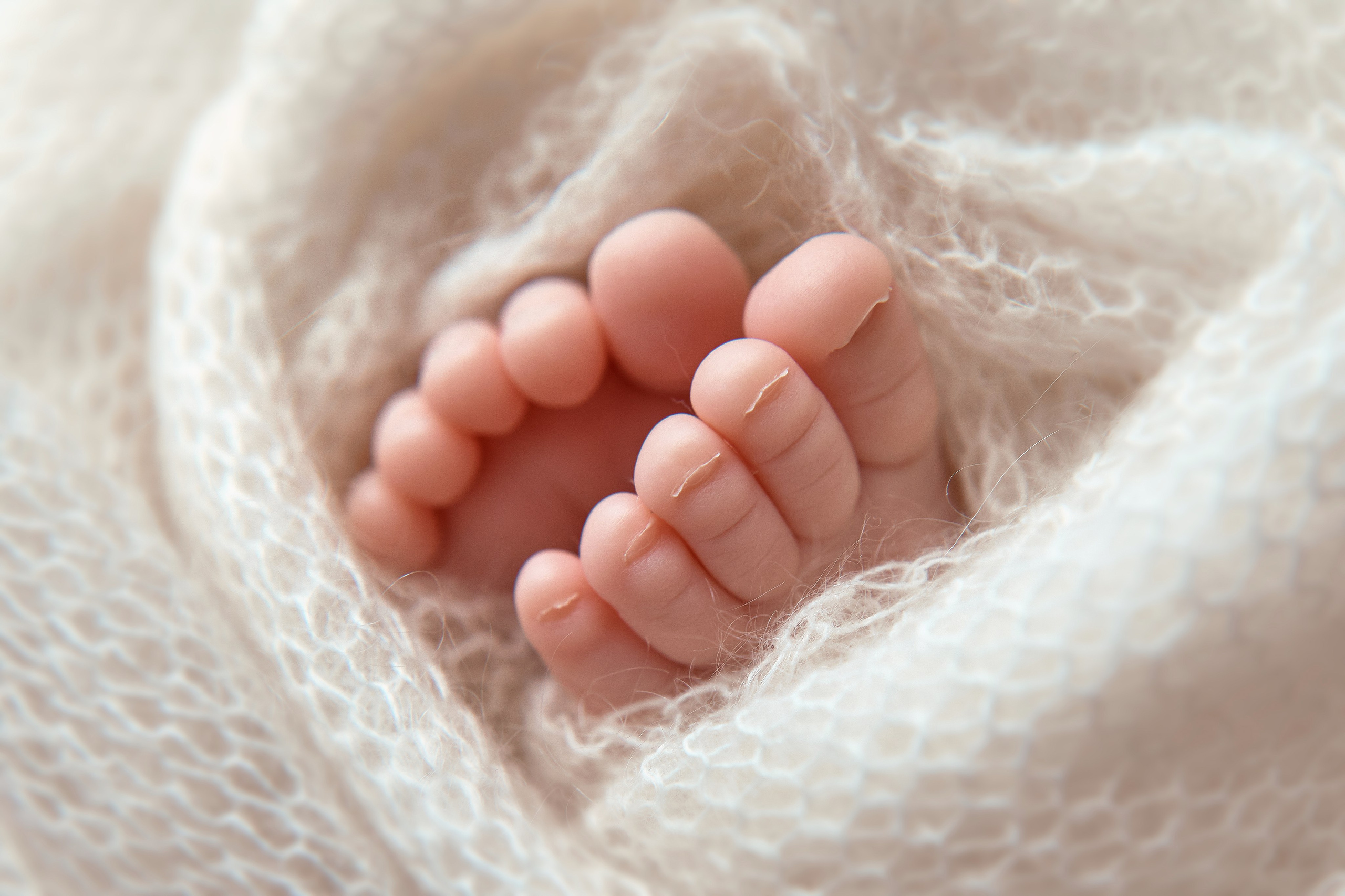 Тариф ПРЕМИУМ. Профессиональный фотограф новорождённых в Москве Елена Сатюкова