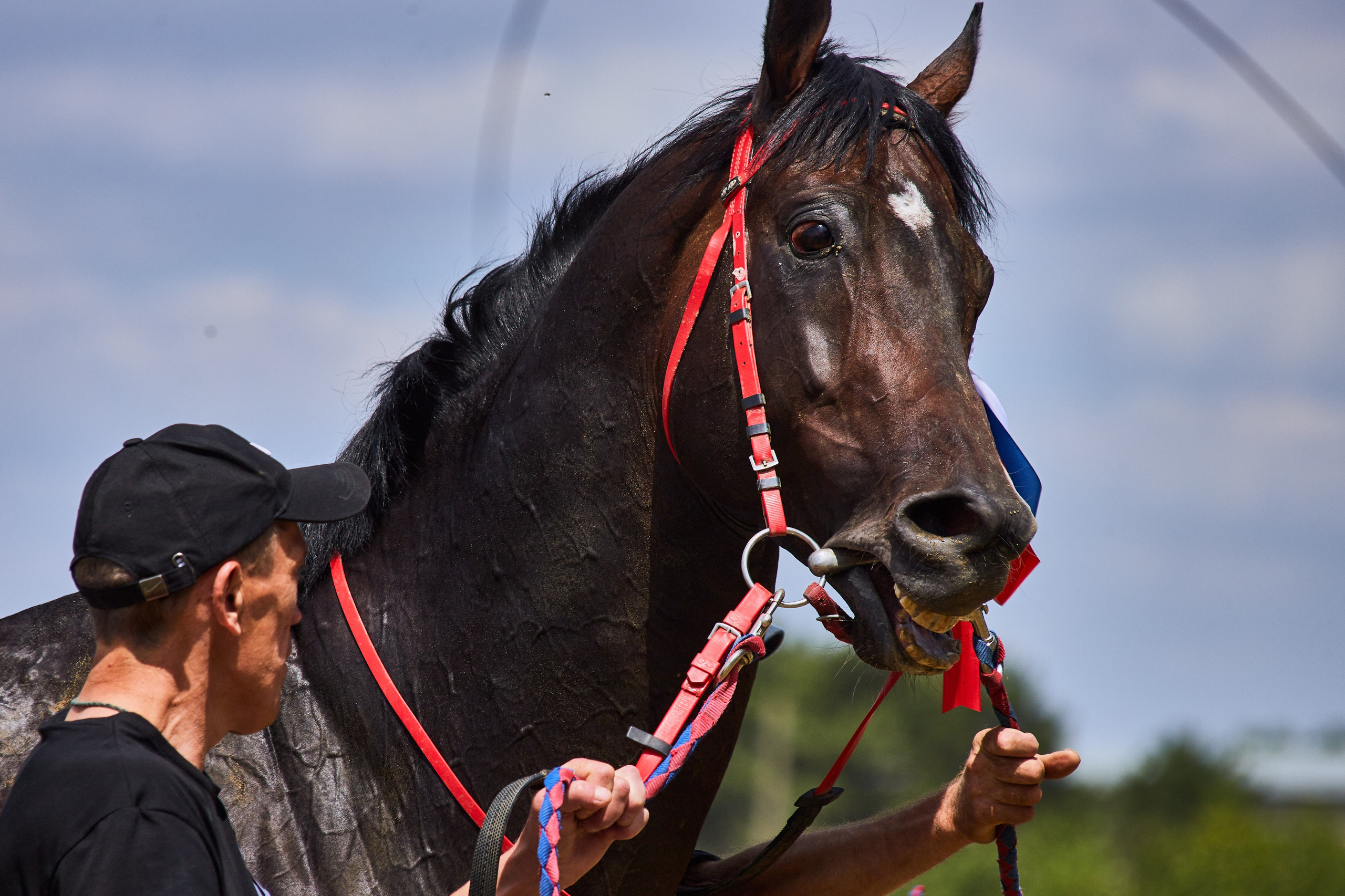 Скачки. Фотограф Юлия Маринина