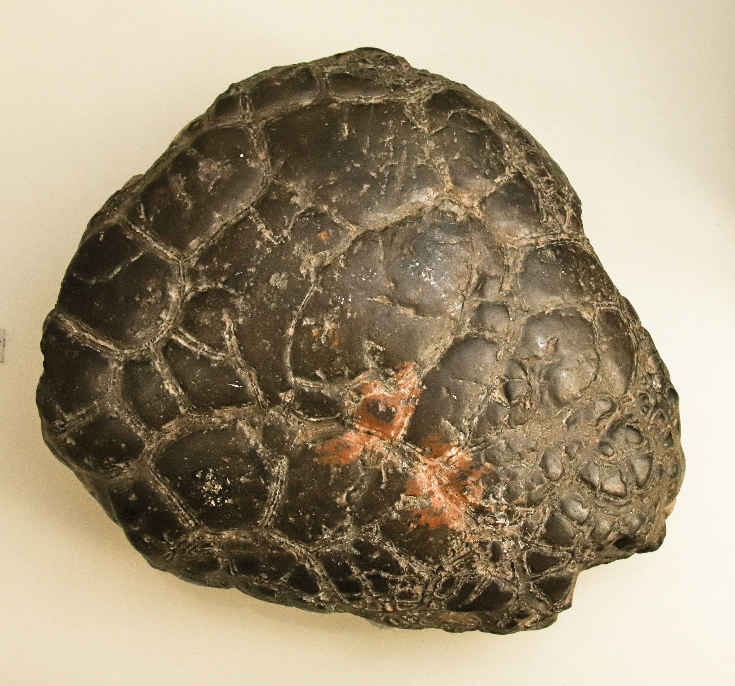 Каменная летопись. Фотограф Юлия Маринина