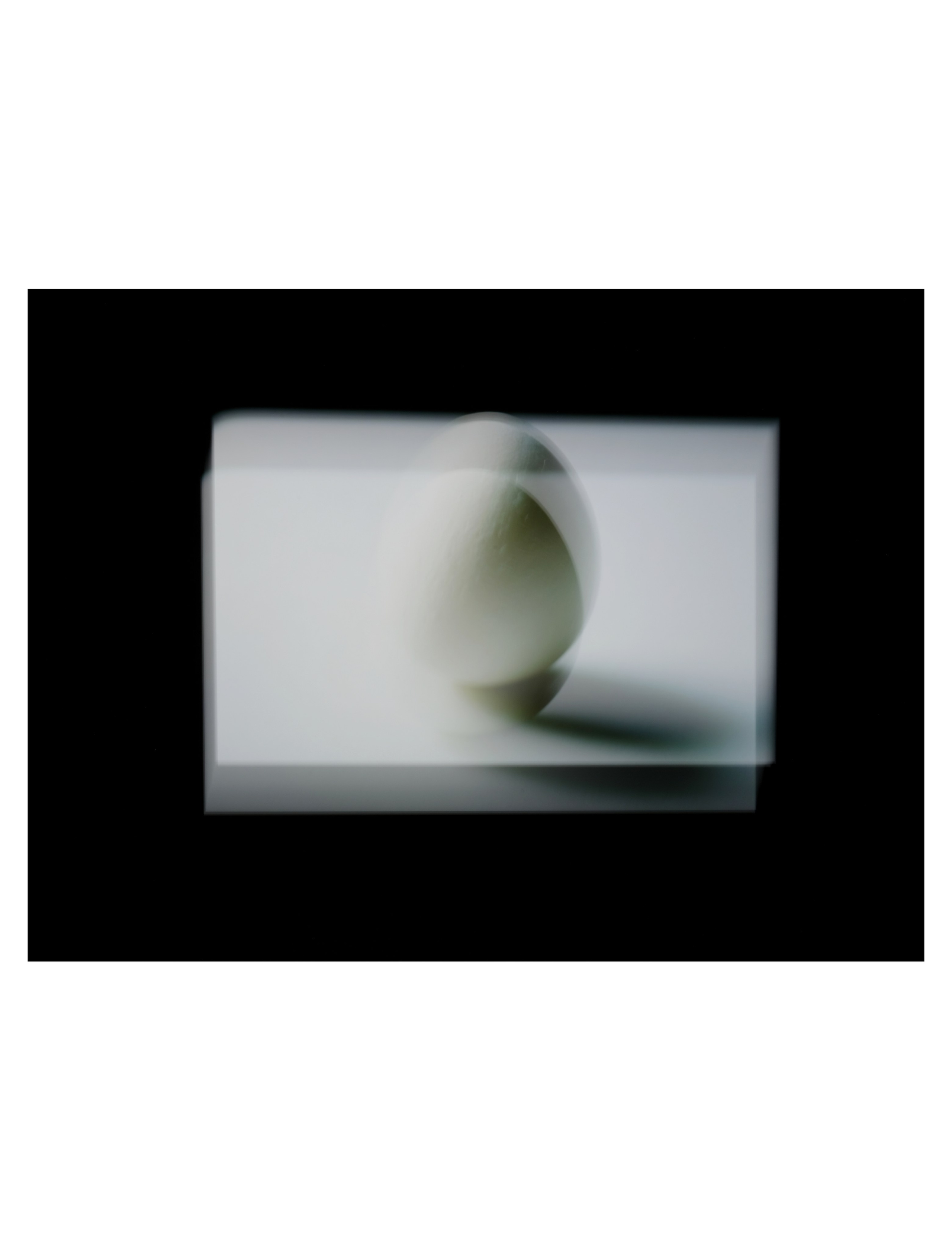 Whiteblackandwhite. Sasha Dairgi