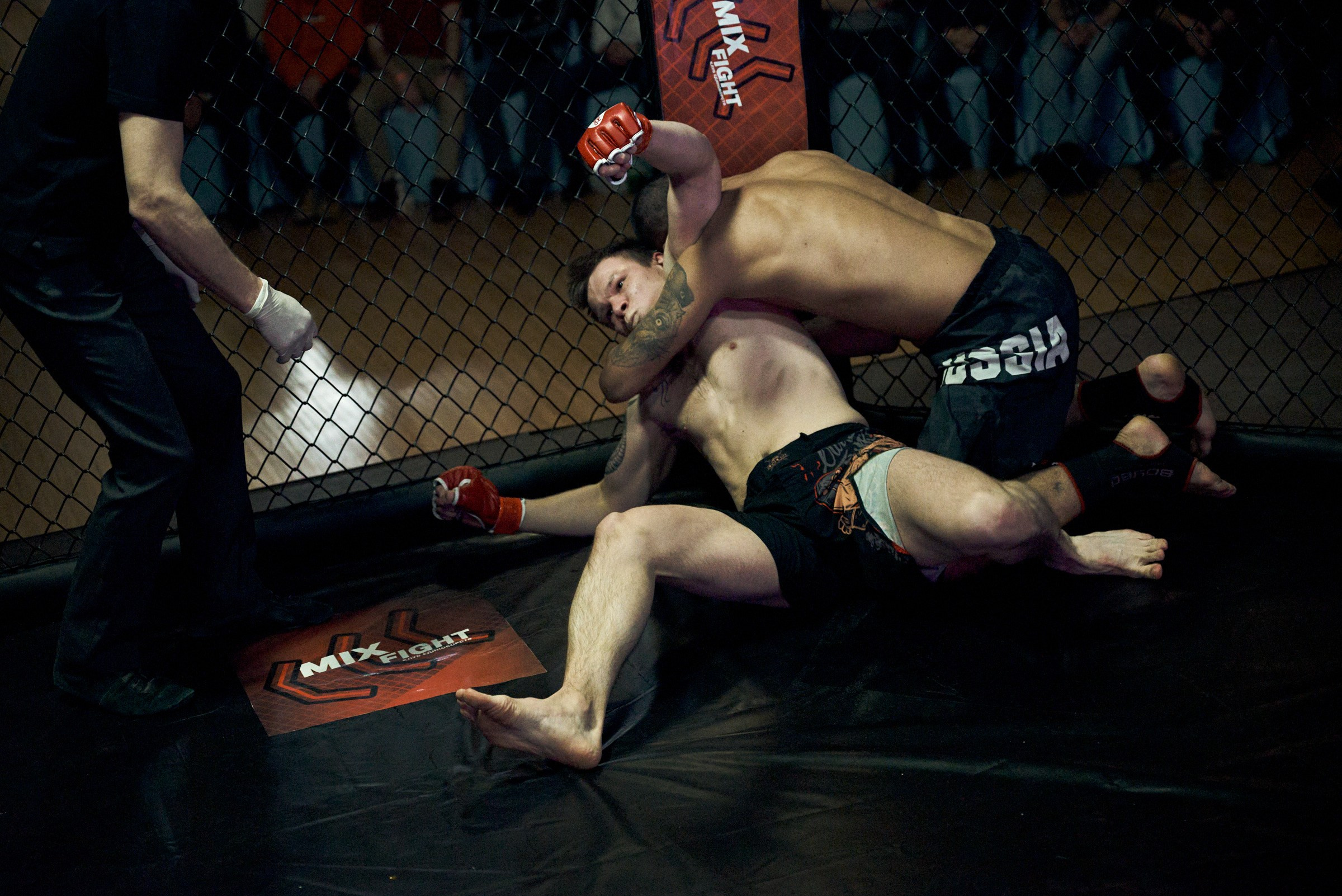 Бои. Маляревич Дмитрий свадебный фотограф