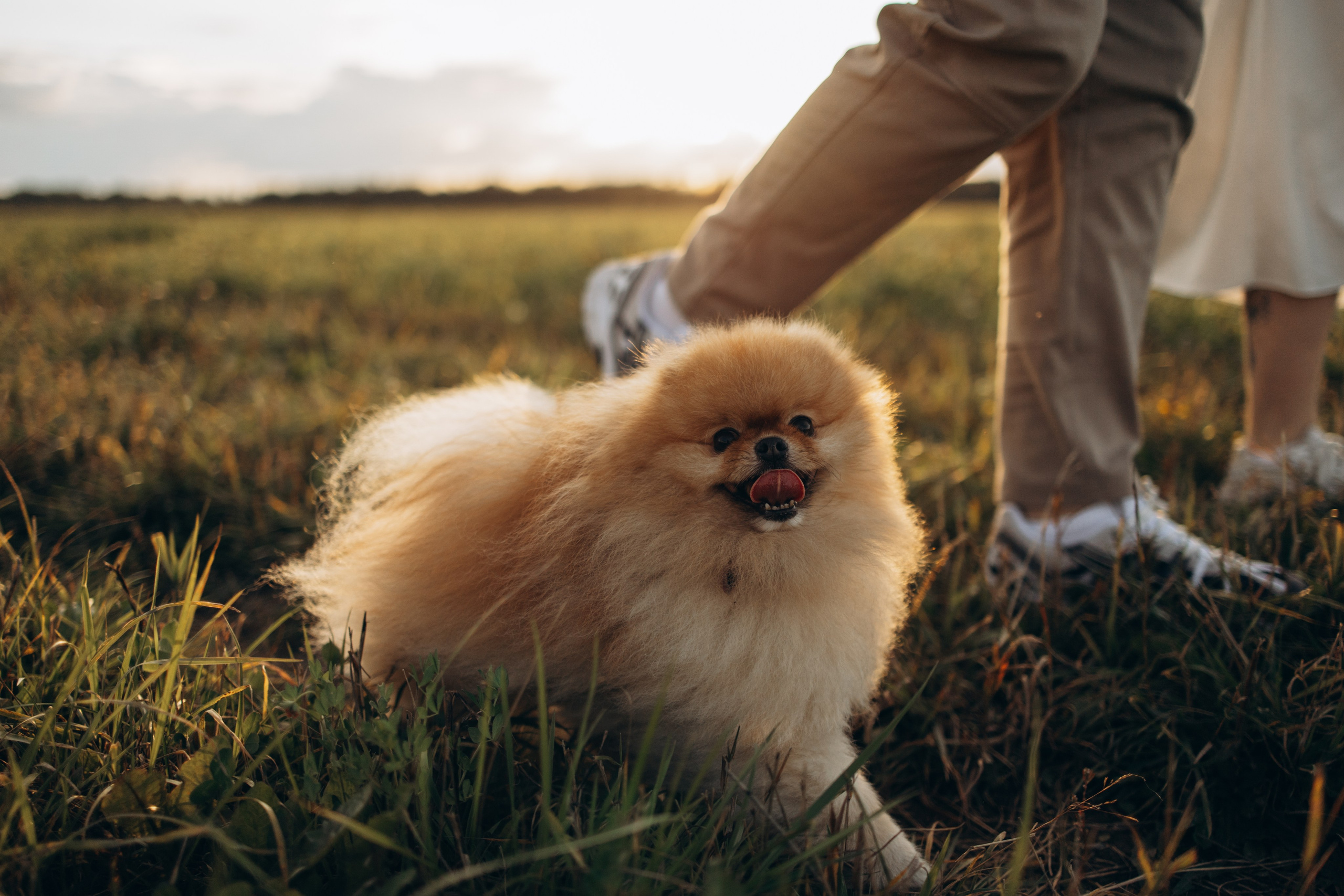Стив и его семья. Фотограф — Анималист | Санкт-Петербург