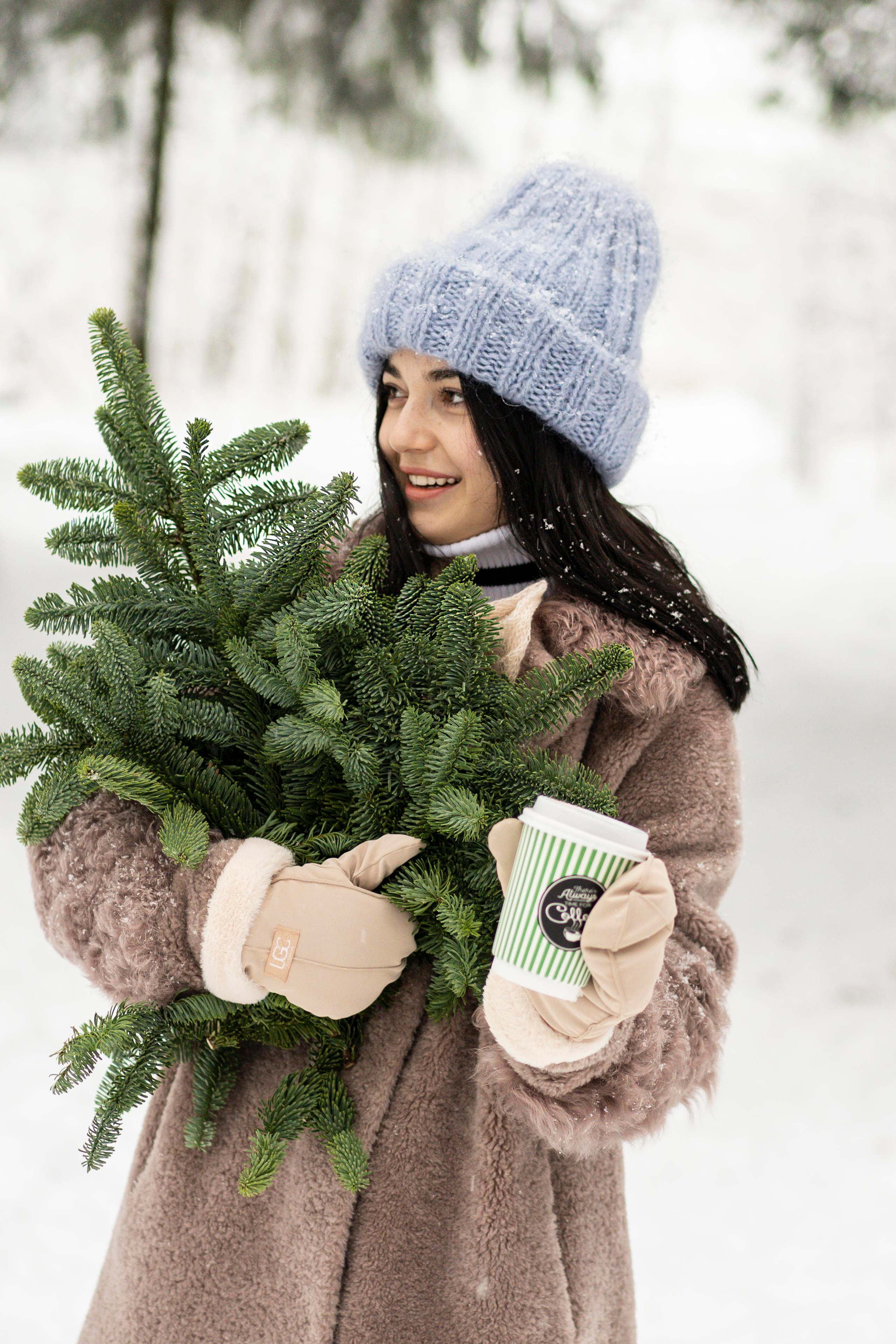 Зимний лес. Brand photographer